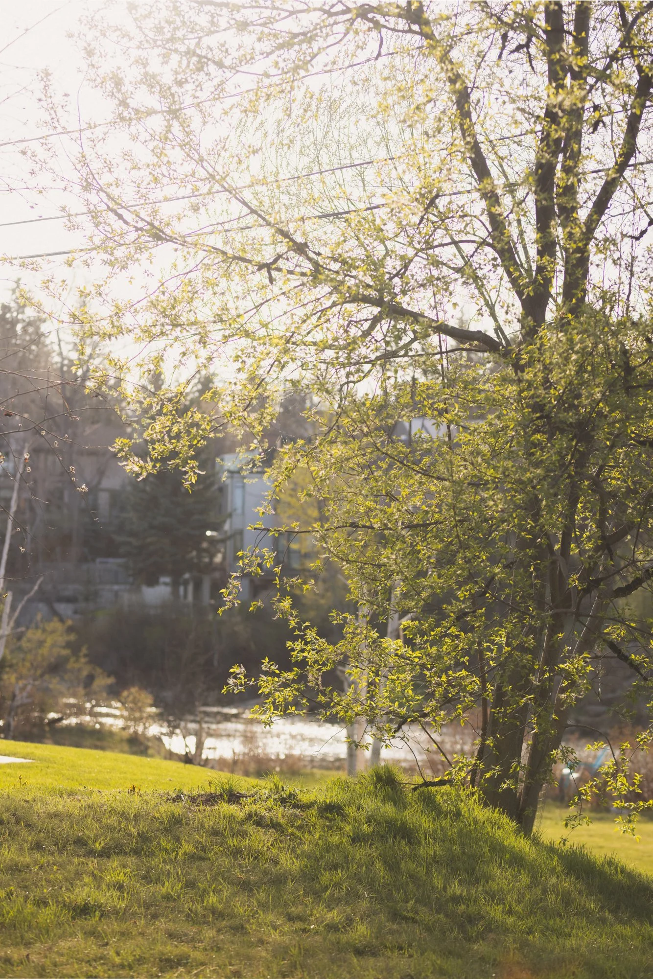 1132 Riverdale_15_web.jpg