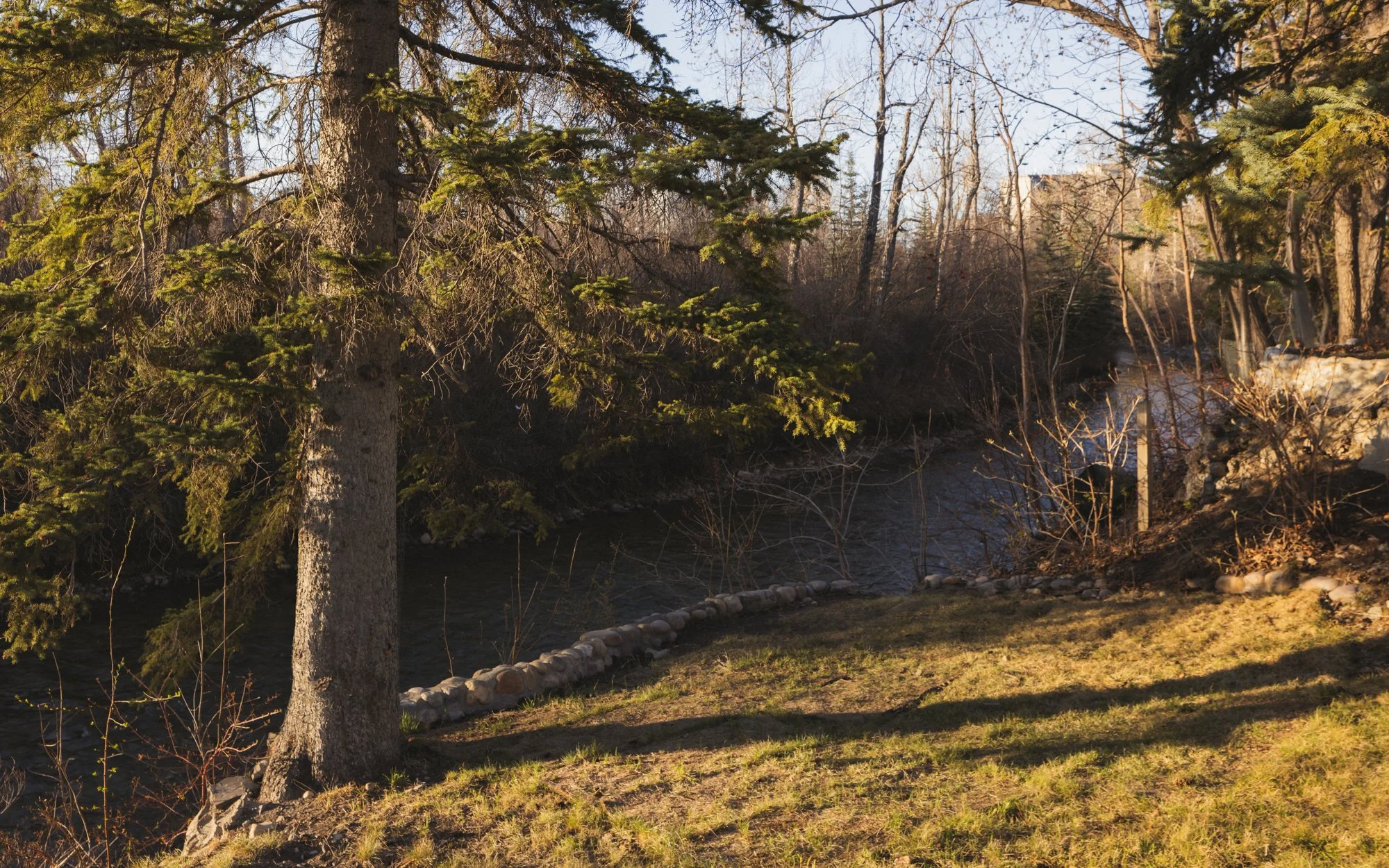 1132 Riverdale_5_web.jpg