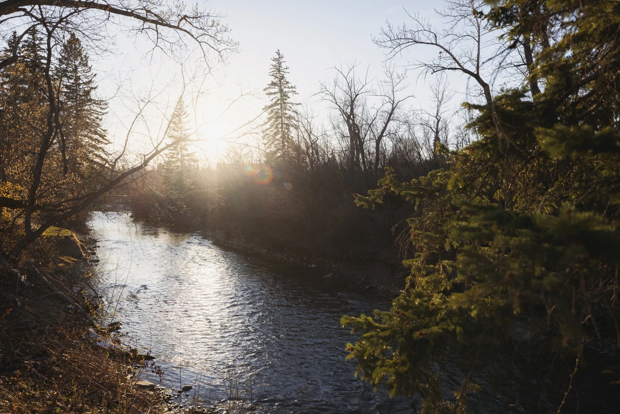 1132 Riverdale_11_web.jpg