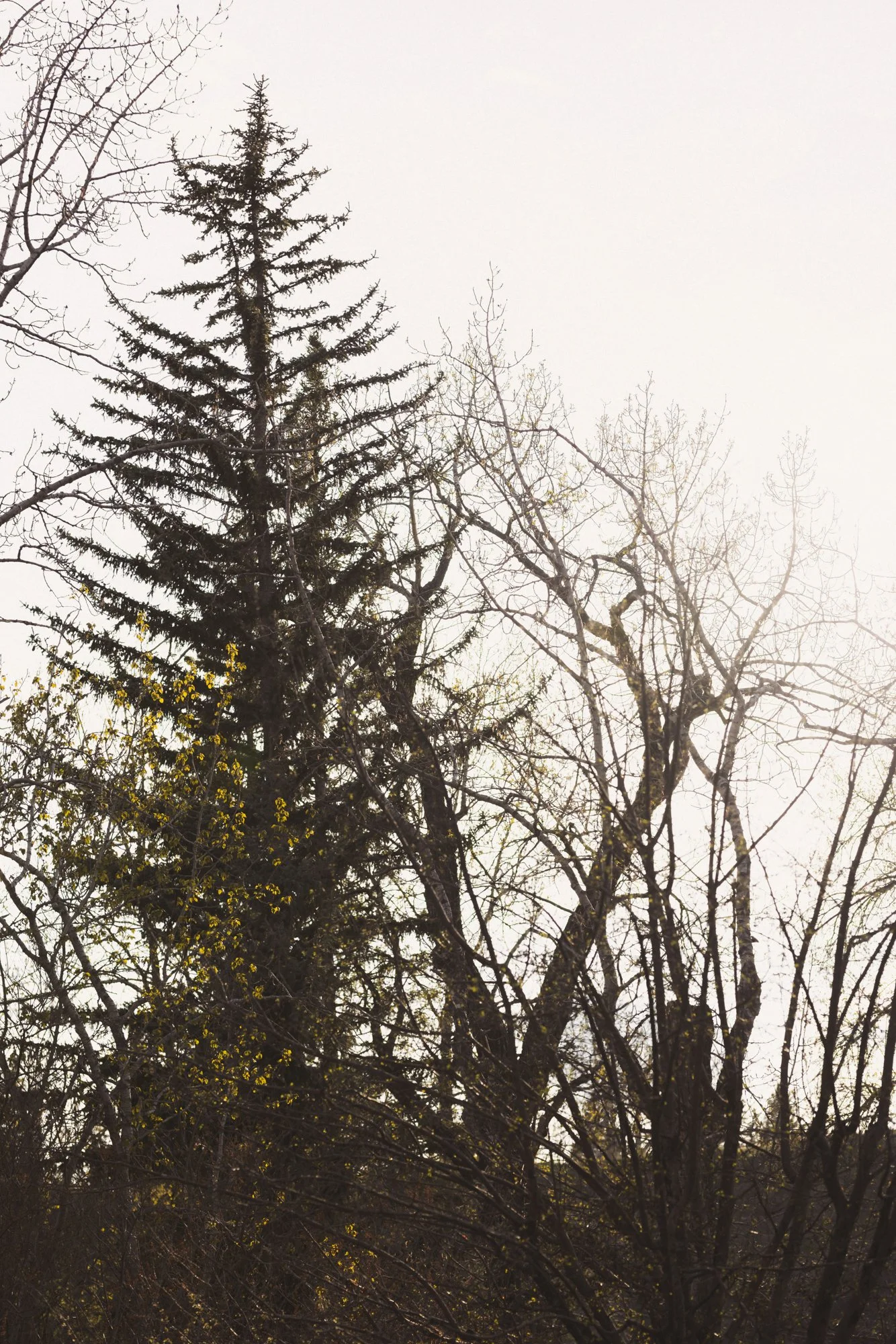1302 Riverdale_11_web.jpg