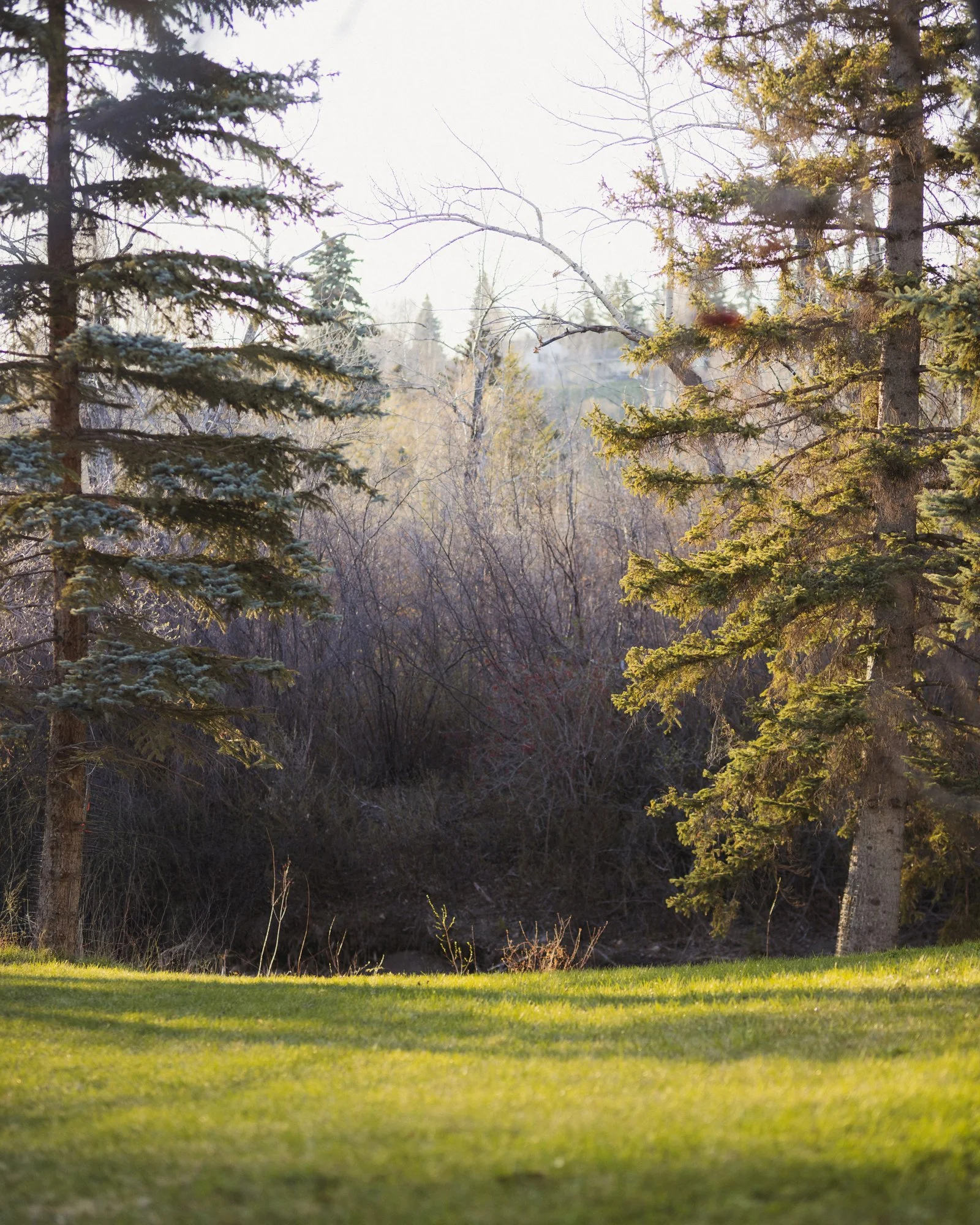 1132 Riverdale_6_web.jpg
