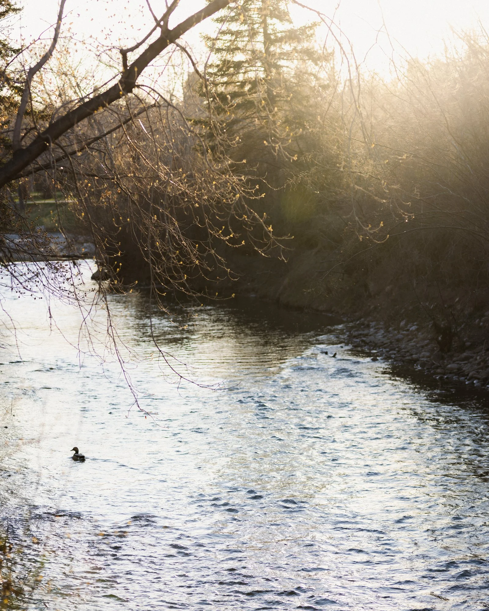 1132 Riverdale_10_web.jpg