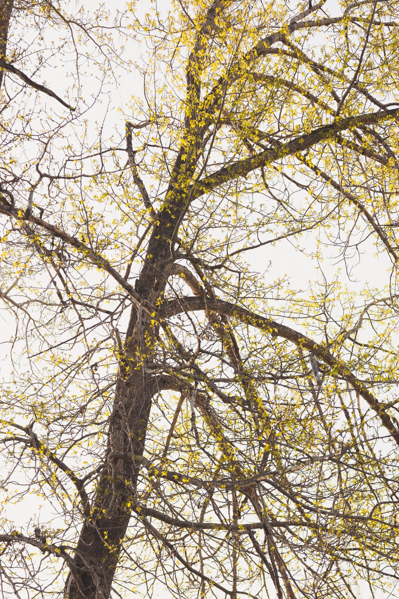 1132 Riverdale_19_web.jpg