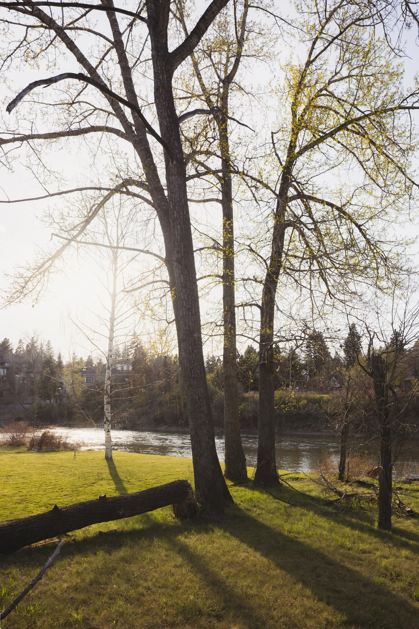 1132 Riverdale_27_web.jpg