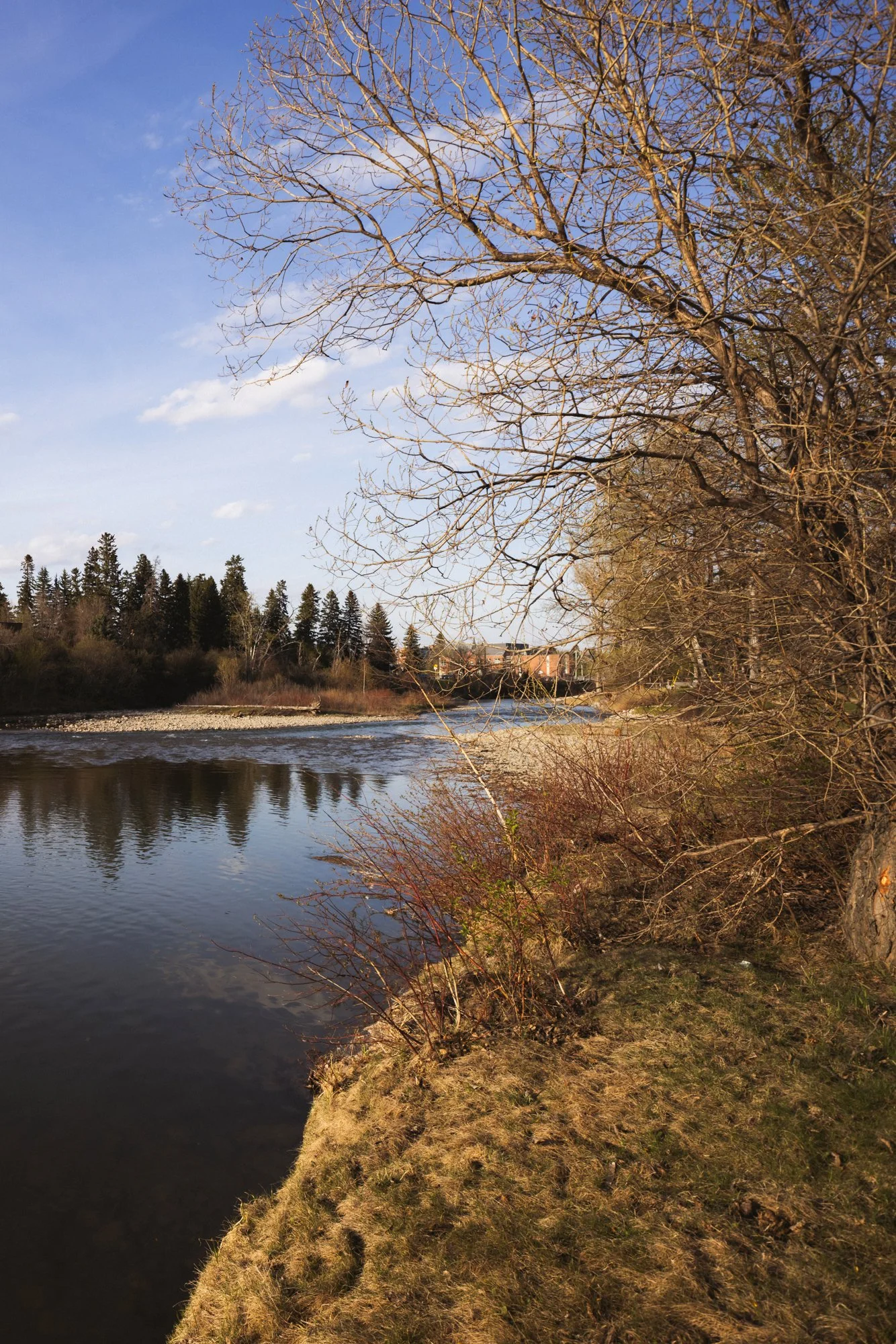 1132 Riverdale_31_web.jpg