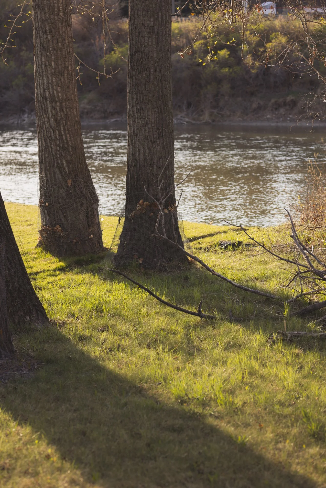 1132 Riverdale_18_web.jpg