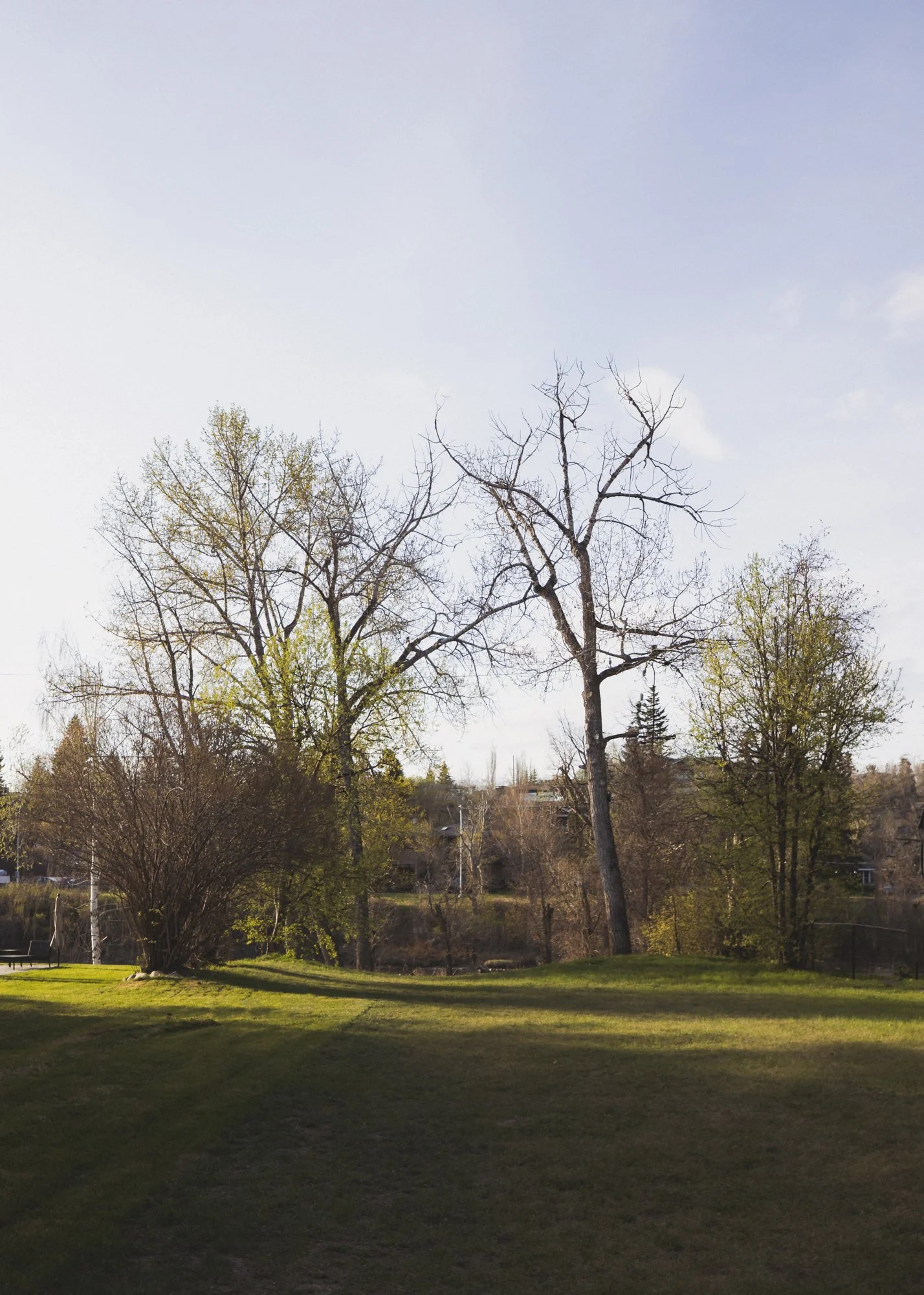 1132 Riverdale_23_web.jpg