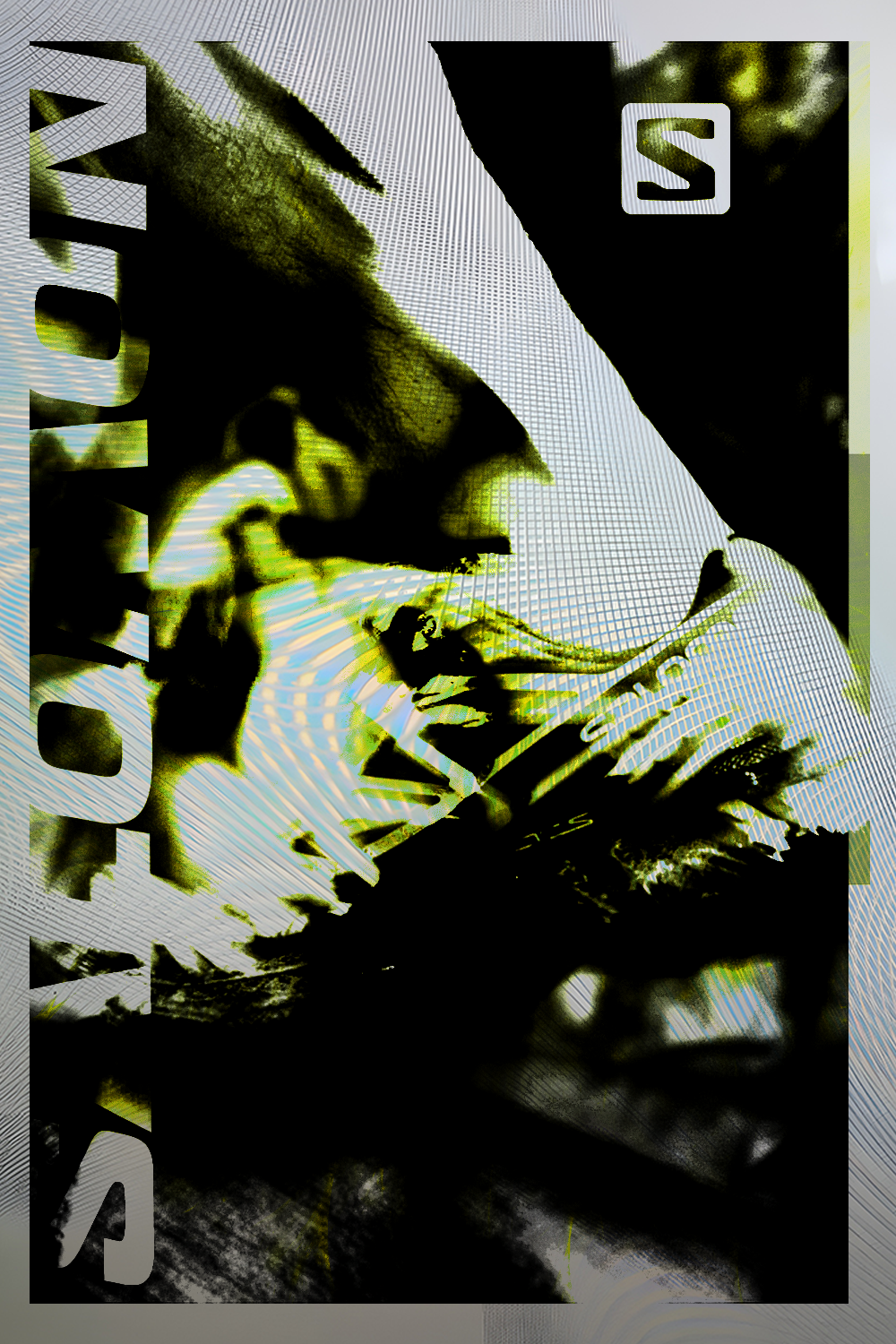 salomon ad.png