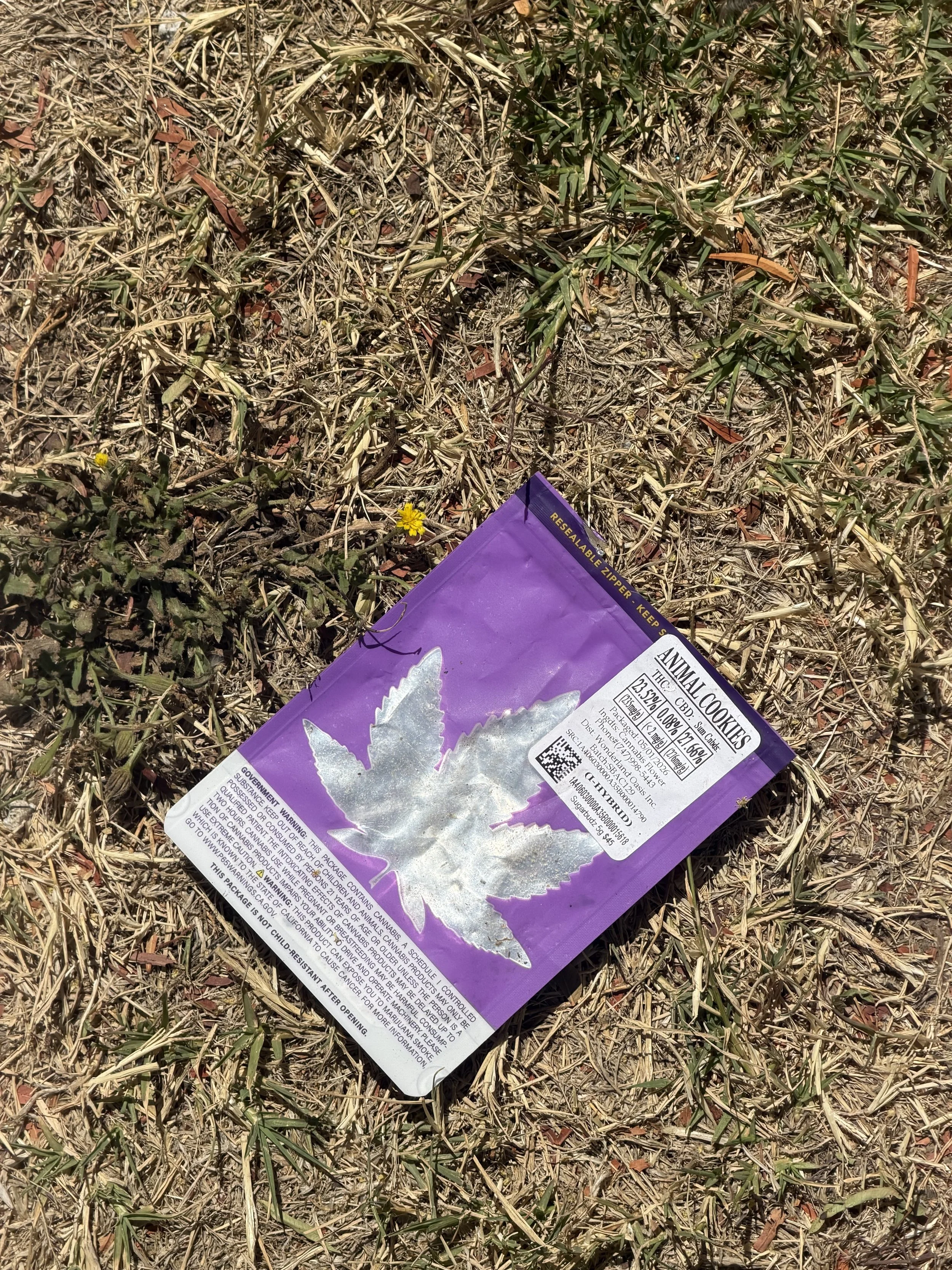 56.jpeg