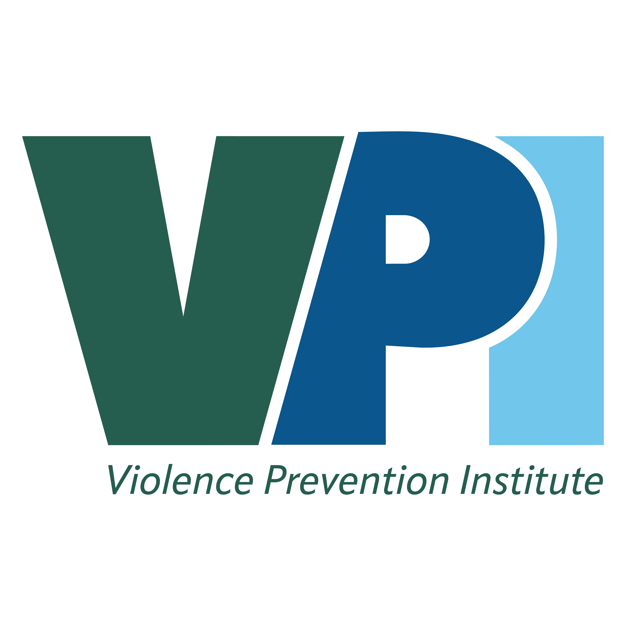 VPI Logo.png