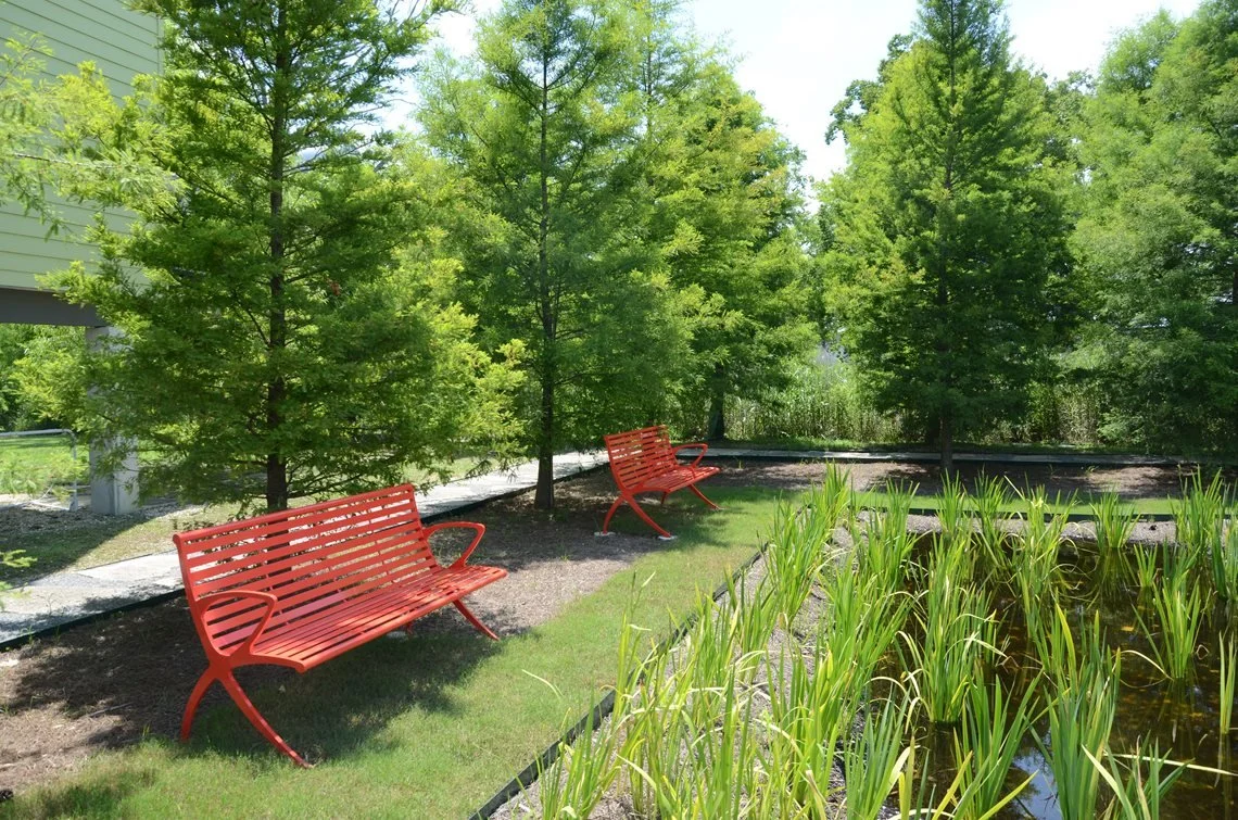 Two red benches are situated in a grassy area near a pond with green aquatic plants, surrounded by tall green trees on a sunny day.