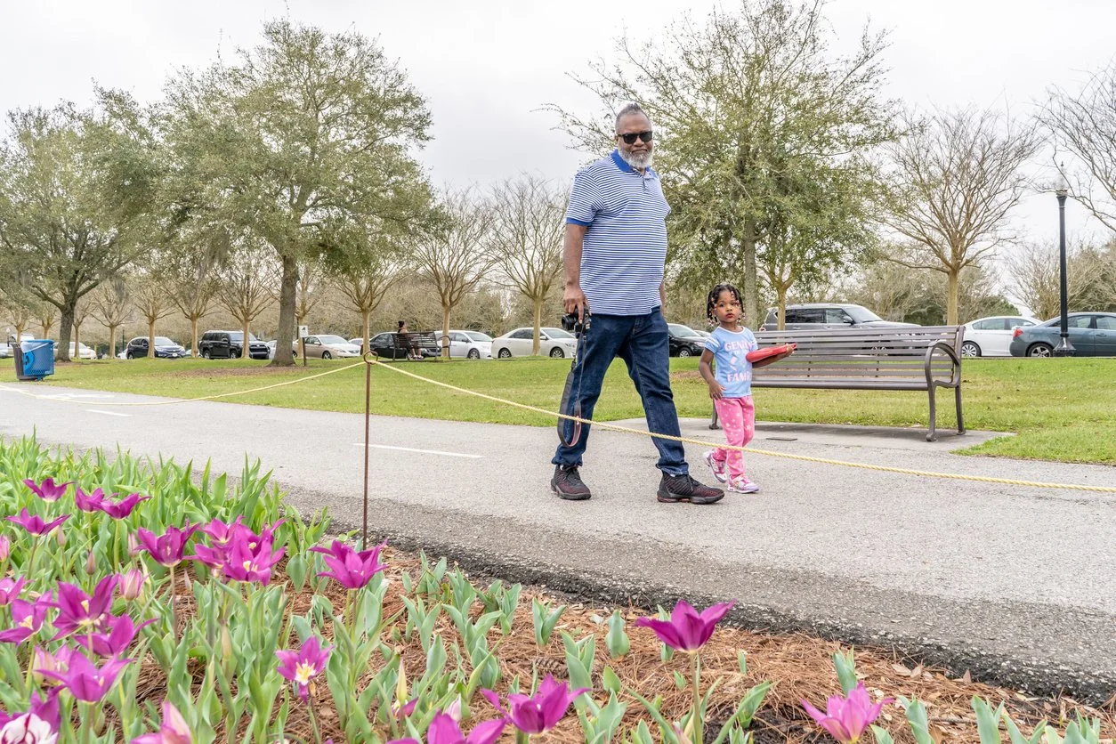 An older man with sunglasses, a striped blue and white shirt, and dark pants walks with a young girl who is holding a red tray or plate. They are on a park path with pink flowers in the foreground, trees in the background, and other park visitors and cars visible in the distance.