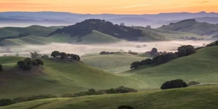 Petaluma: Wine Country Starts Here
