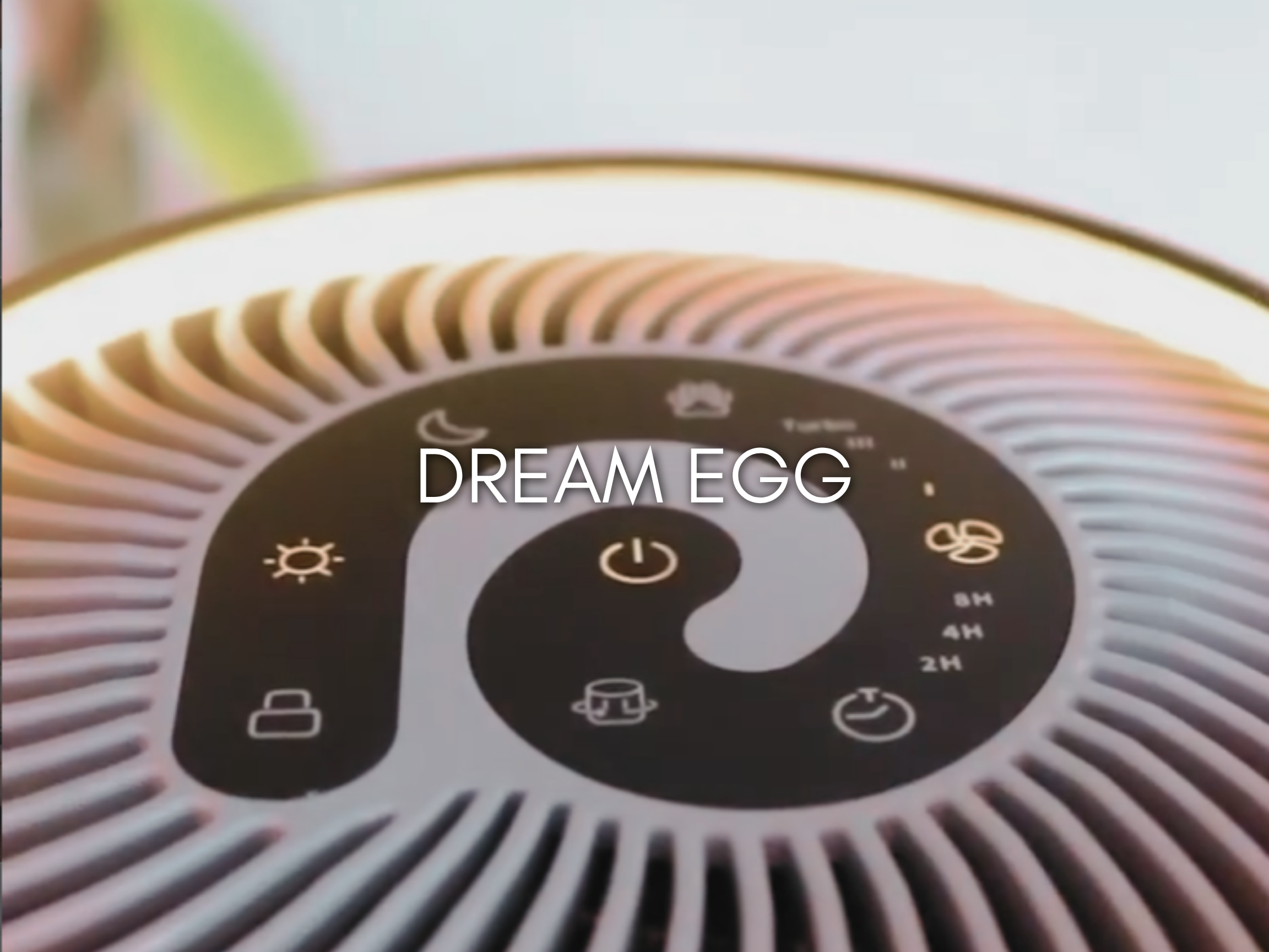 dream egg air pruifier
