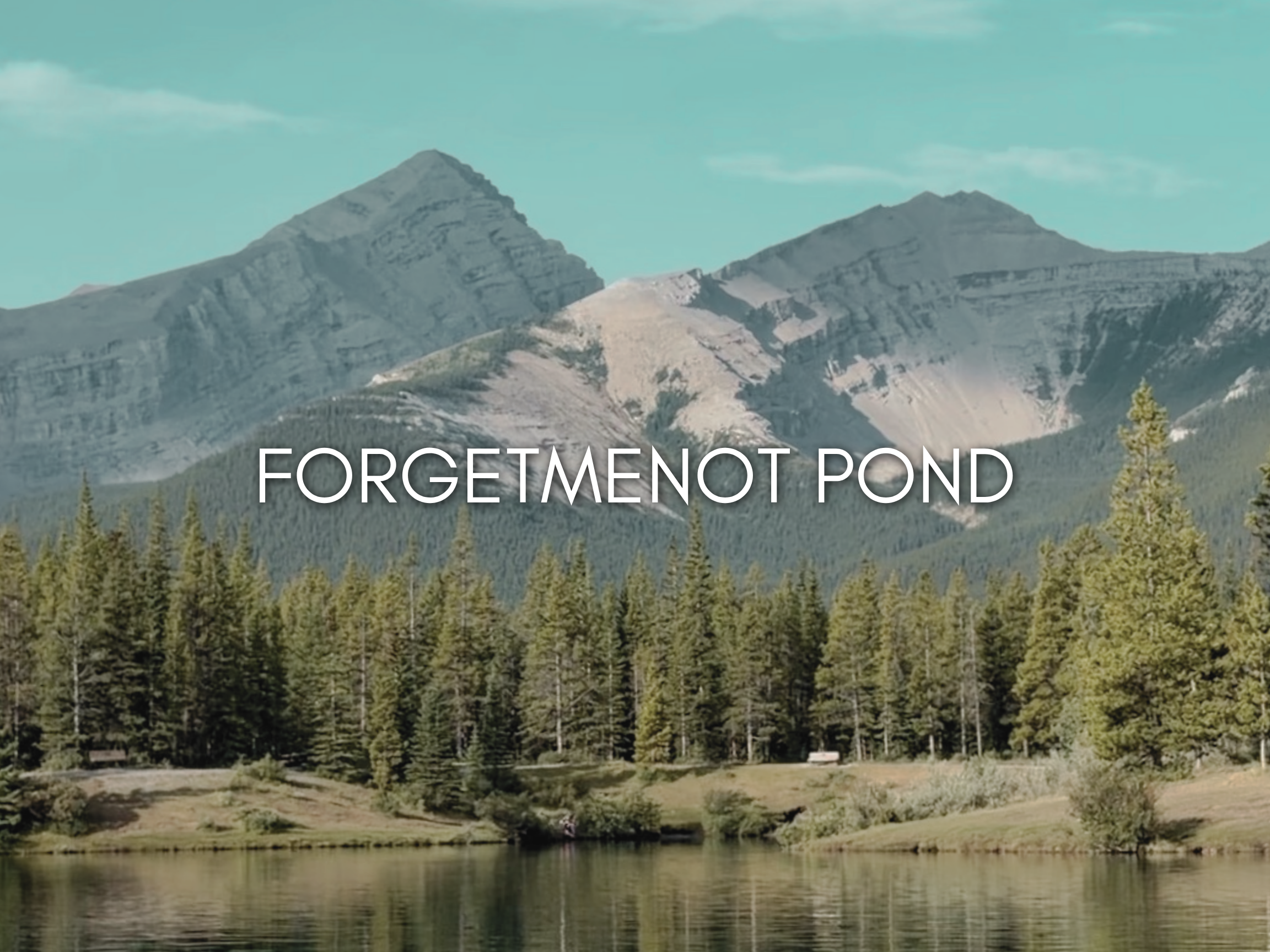 a day at Forgetmenot Pond, Kananaskis
