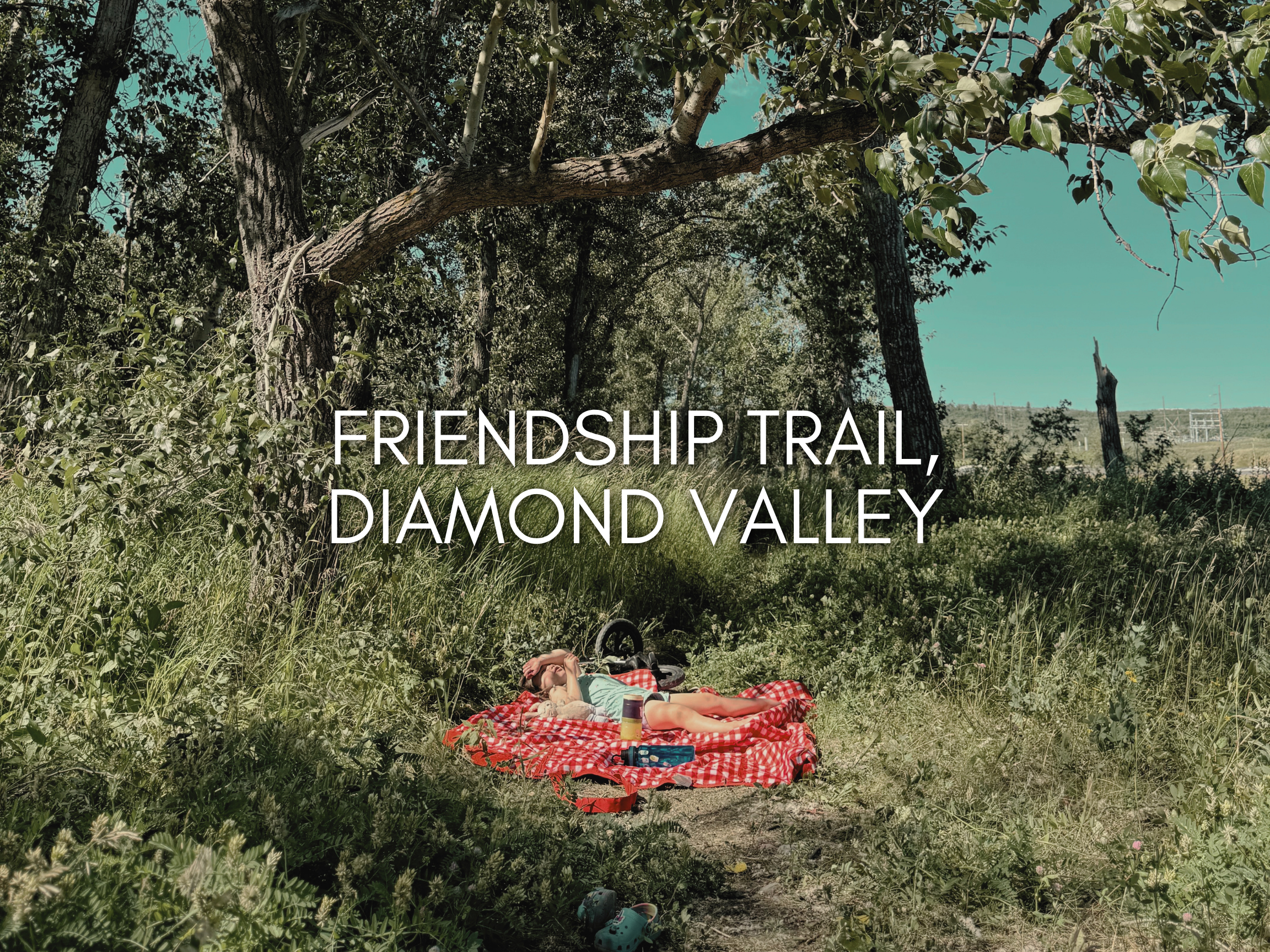 friendship trail, diamond valley.png