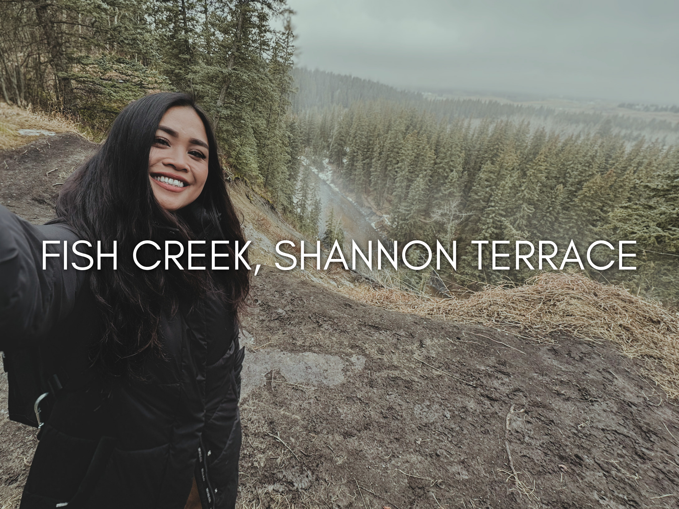 Fish Creek, shannon terrace.png