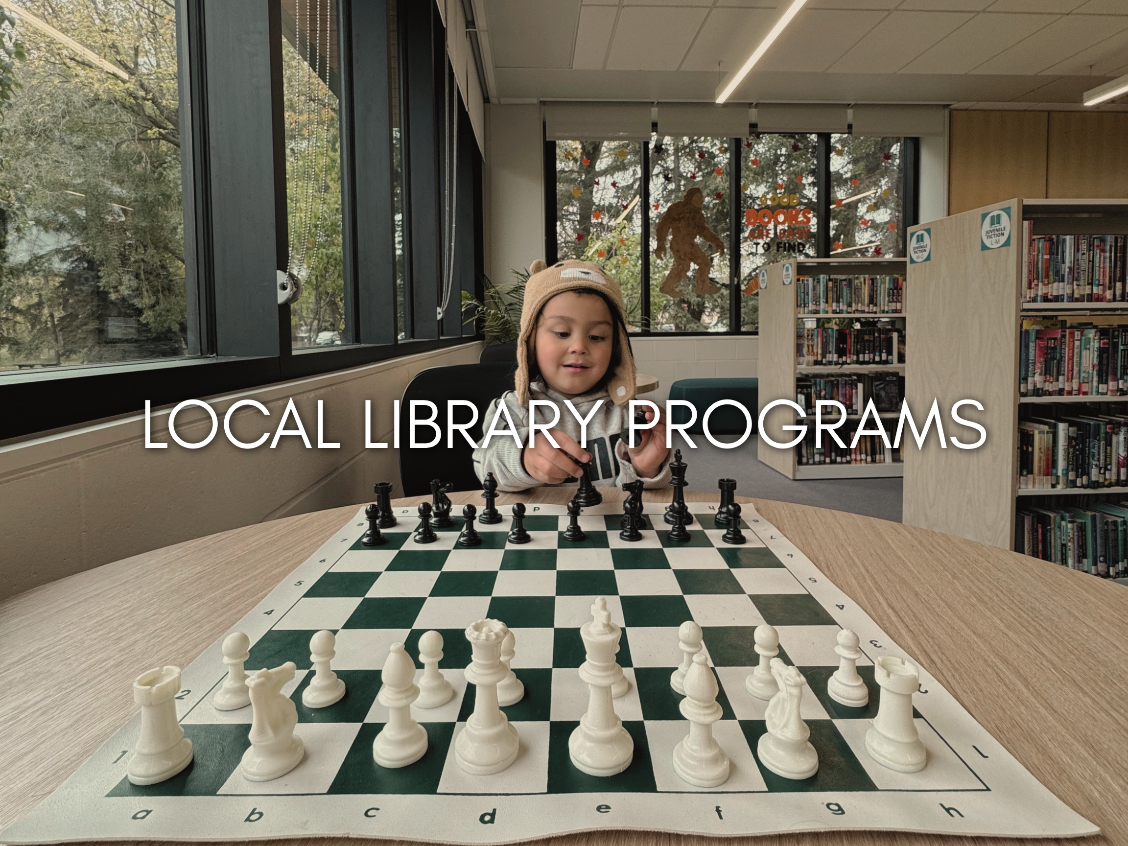 local library programs.png