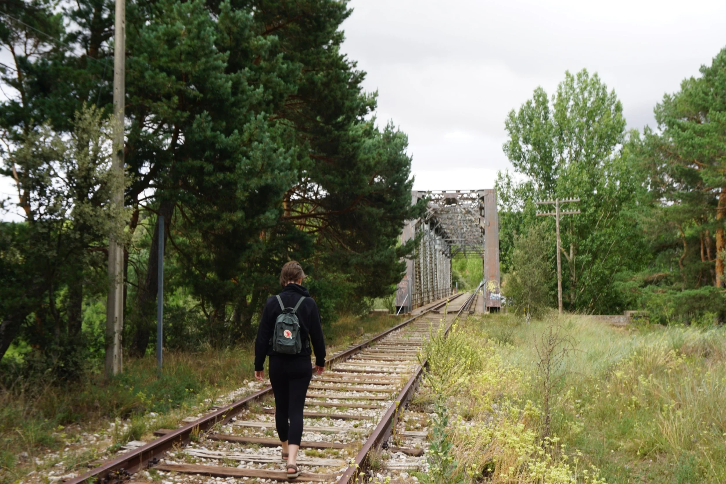 A person walking along abandoned train tracks surrounded by trees and overgrown grass on a cloudy day.