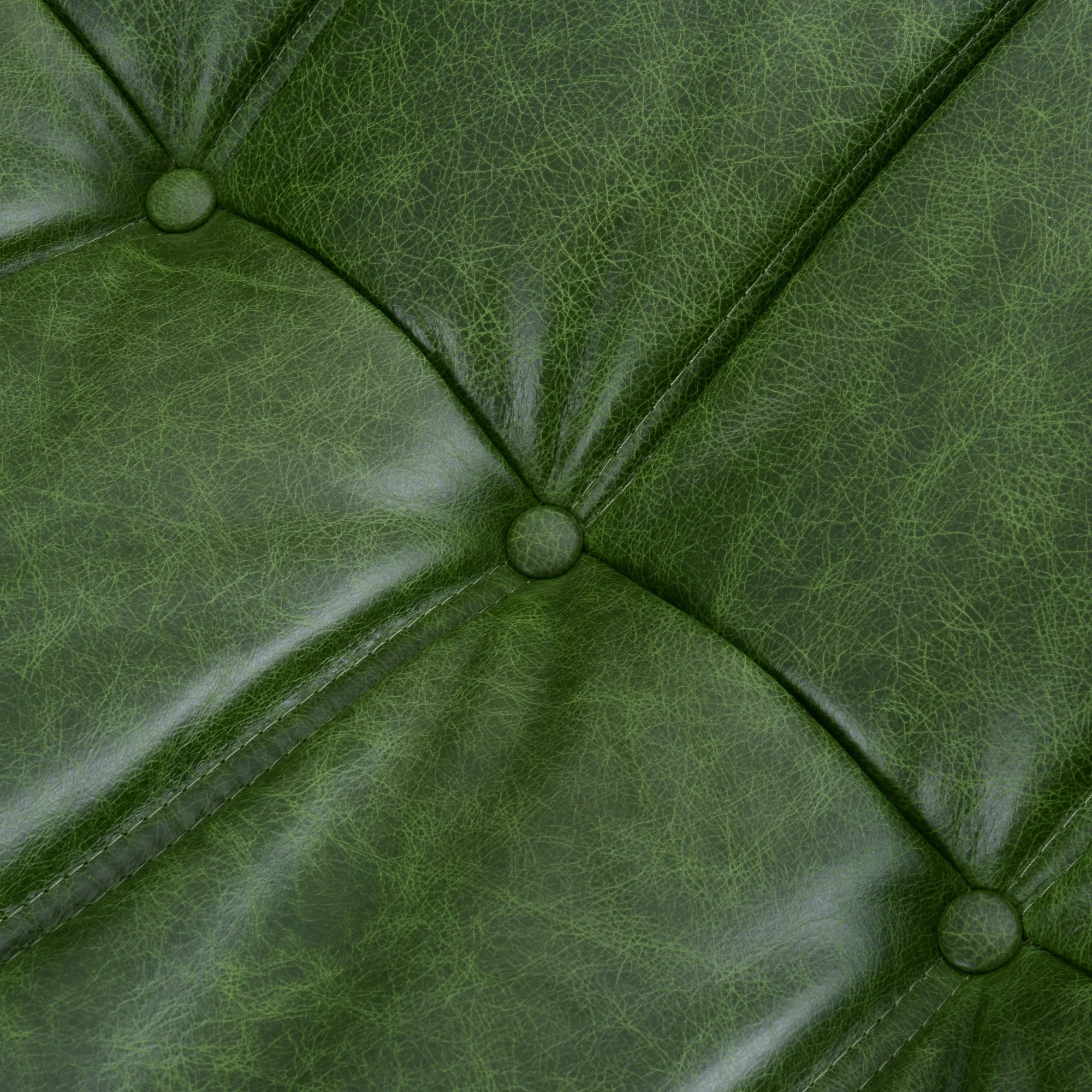 Botanica Green Leather 498.jpg