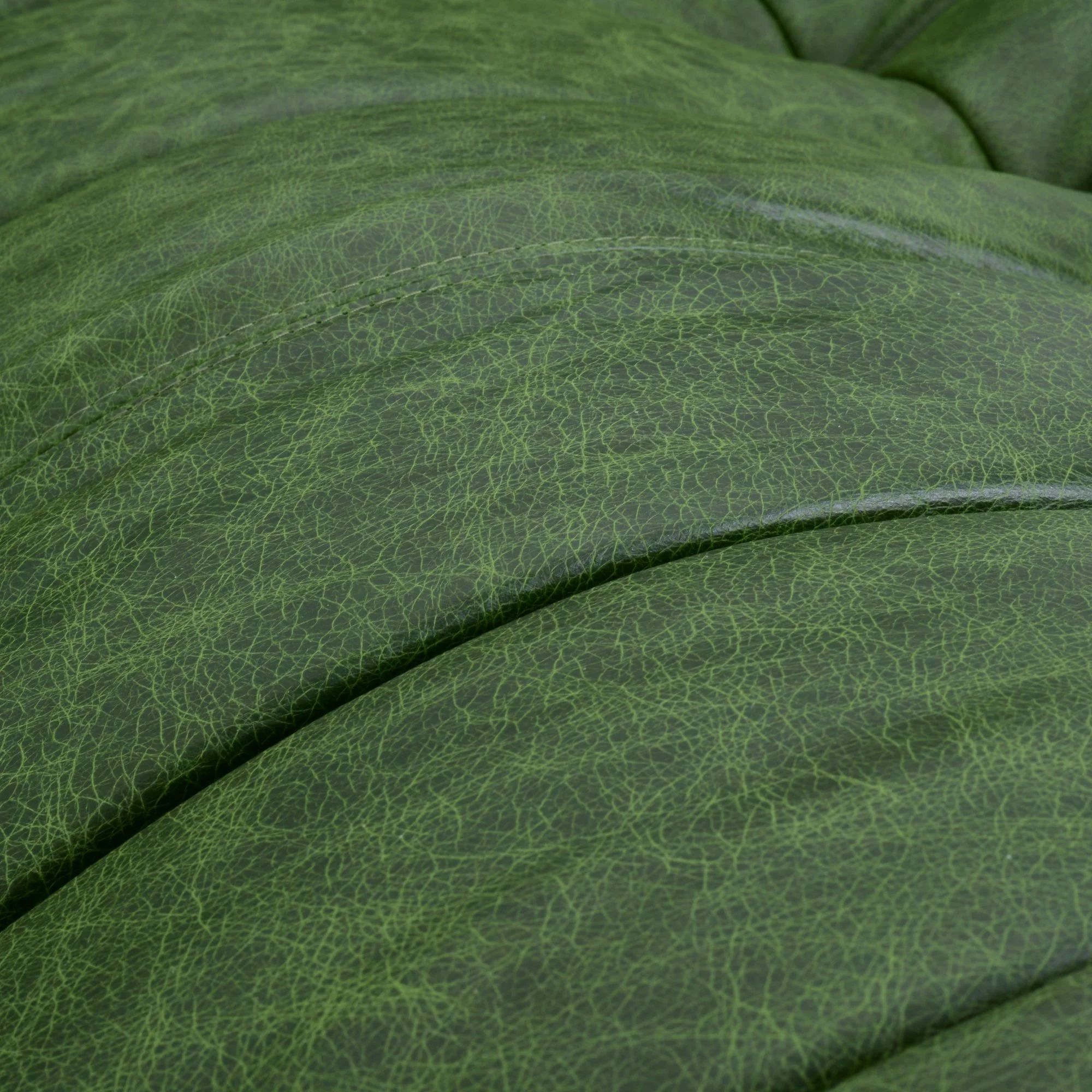 Botanica Green Leather 500.jpg
