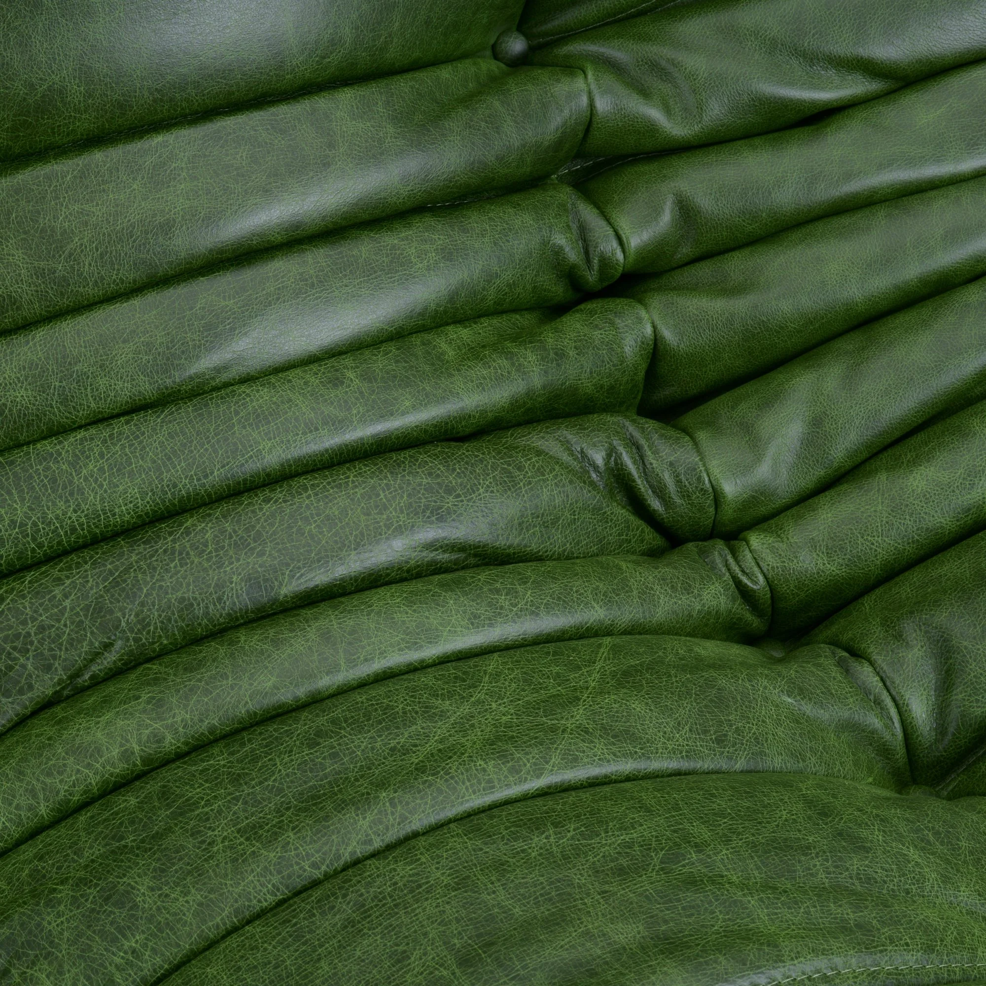 Botanica Green Leather 499.jpg
