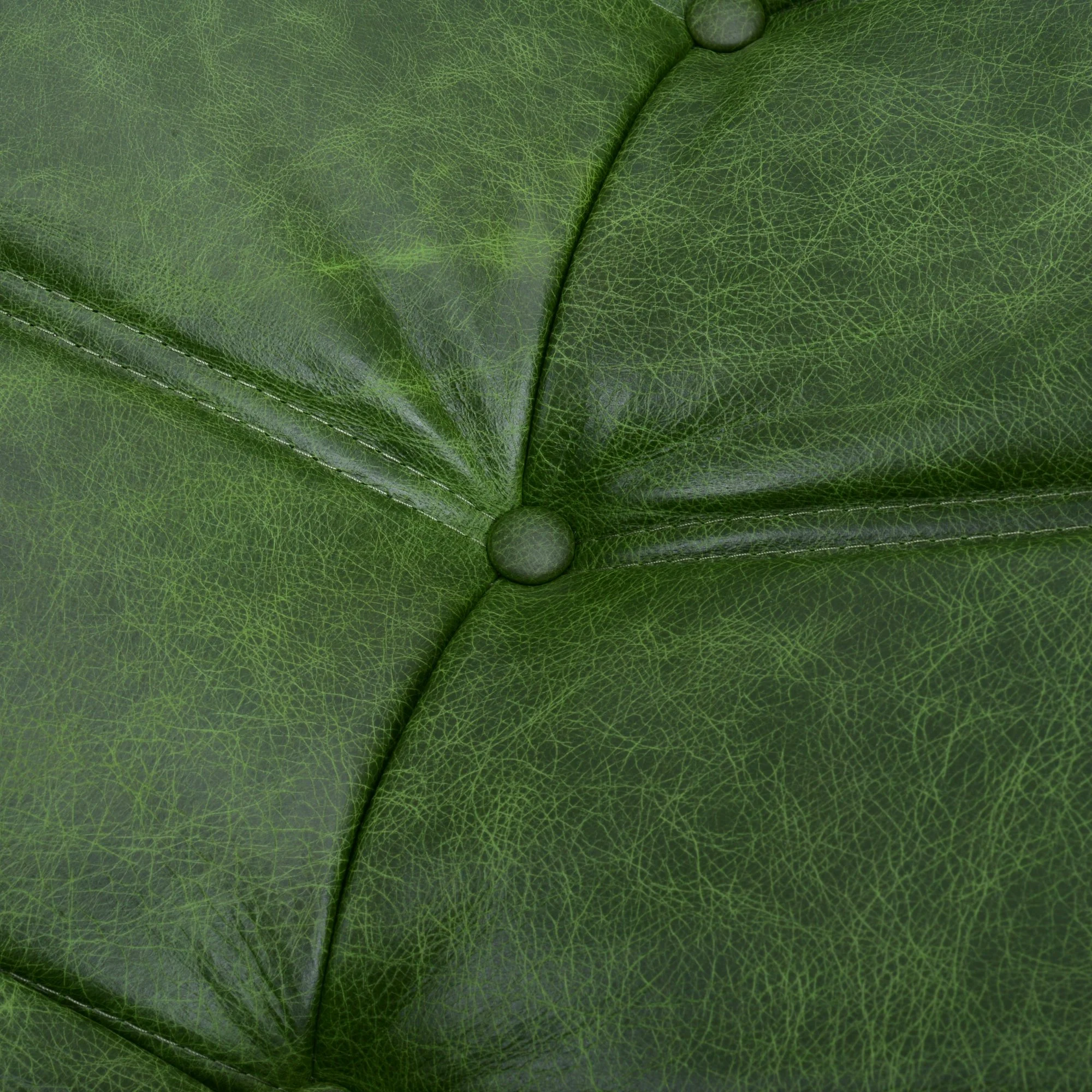 Botanica Green Leather 510.jpg