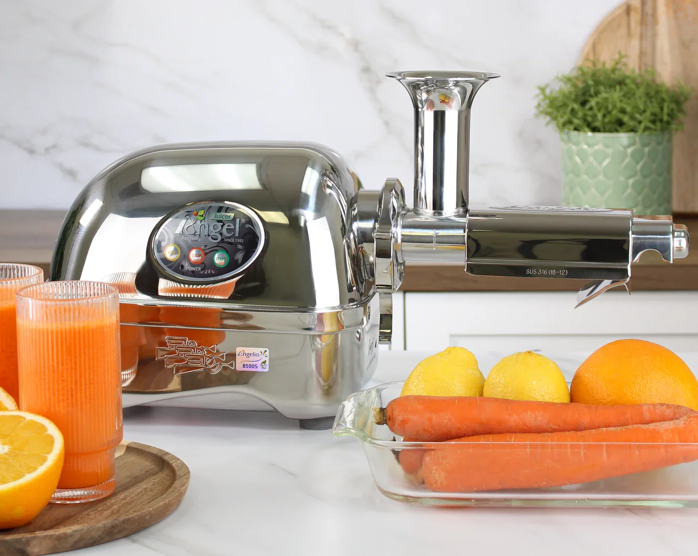 ANGEL JUICER 7500 — COLD PRESS Angel Juicer, Busan, South Korea