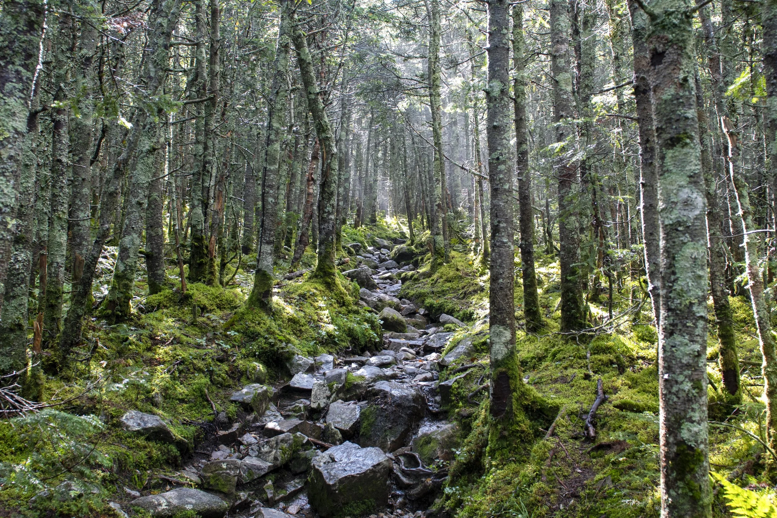 DSC_2199.jpg