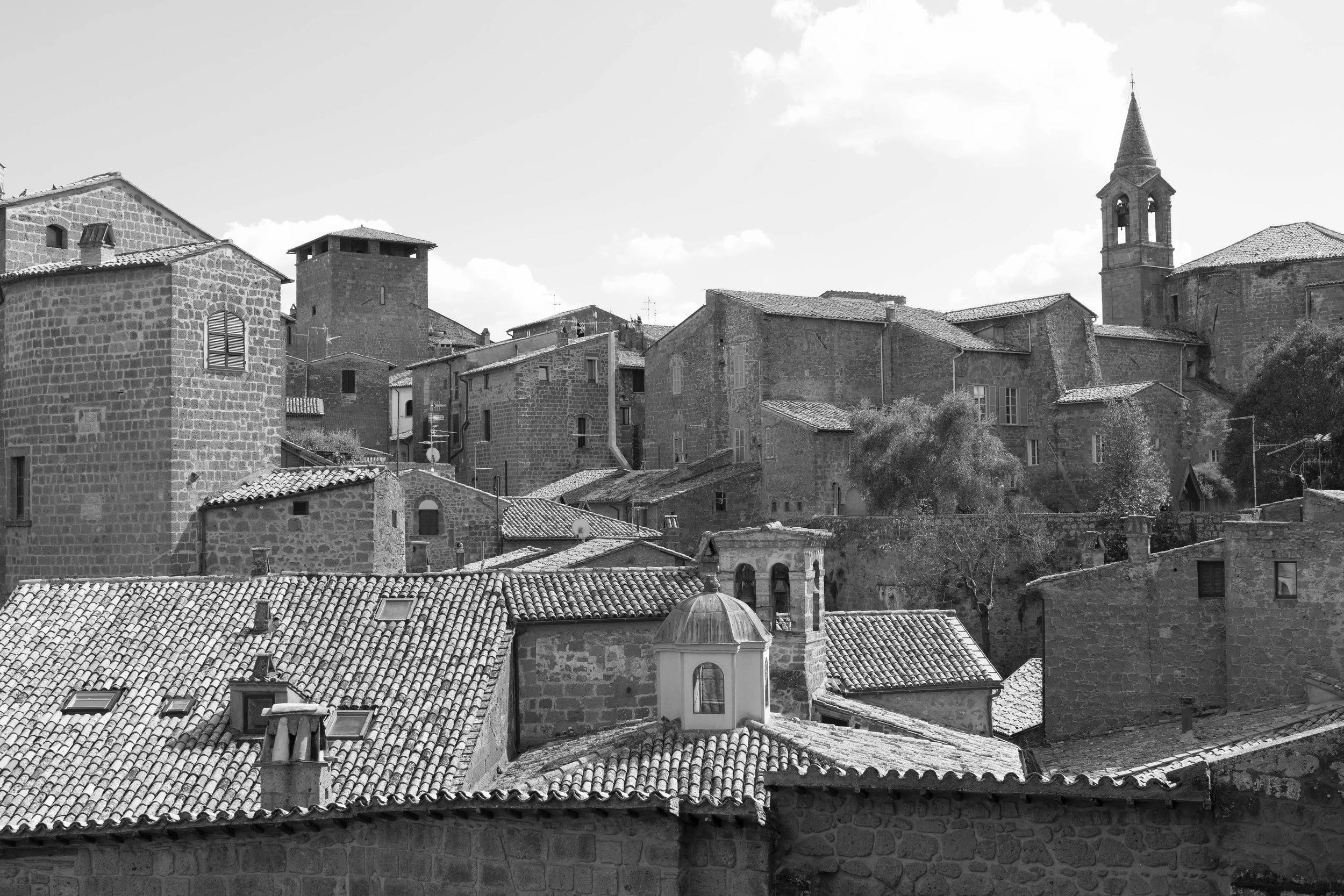 DSC_5531.jpg