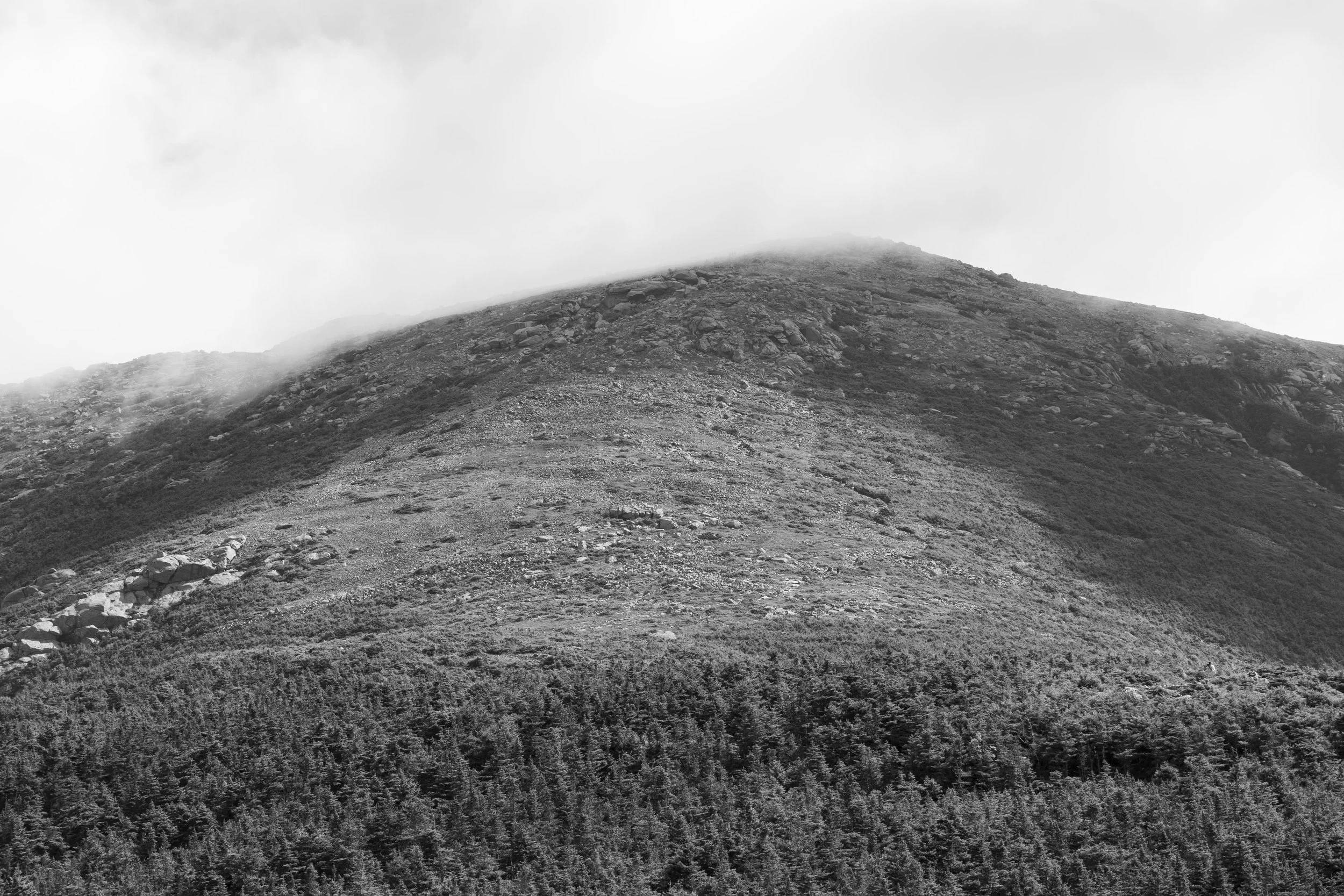 DSC_2213bw.jpg