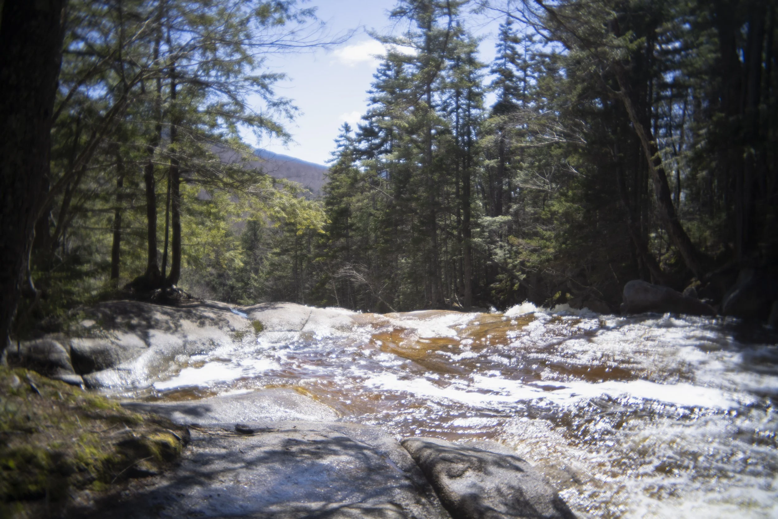 DSC_6056.jpg