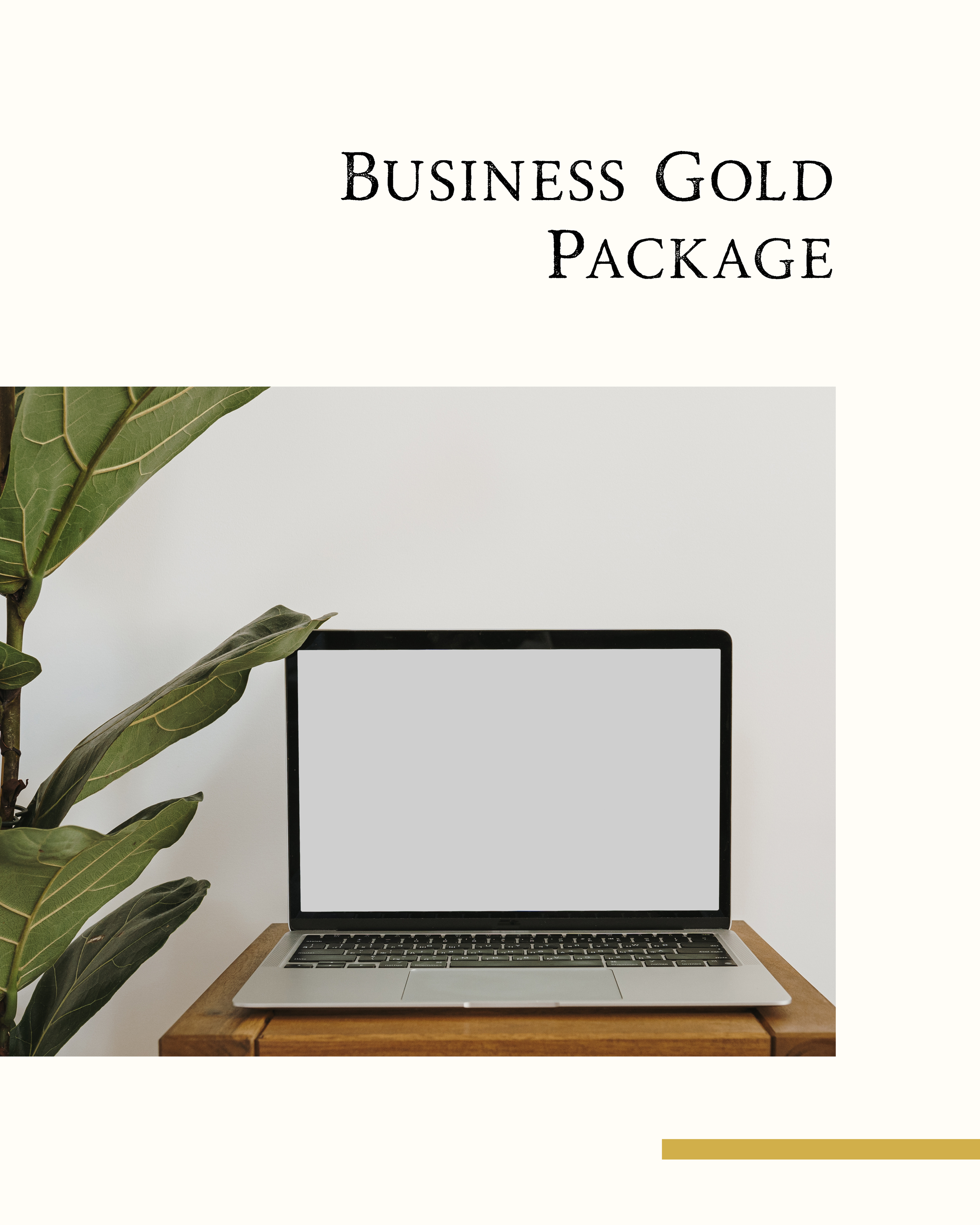 Business Gold Package