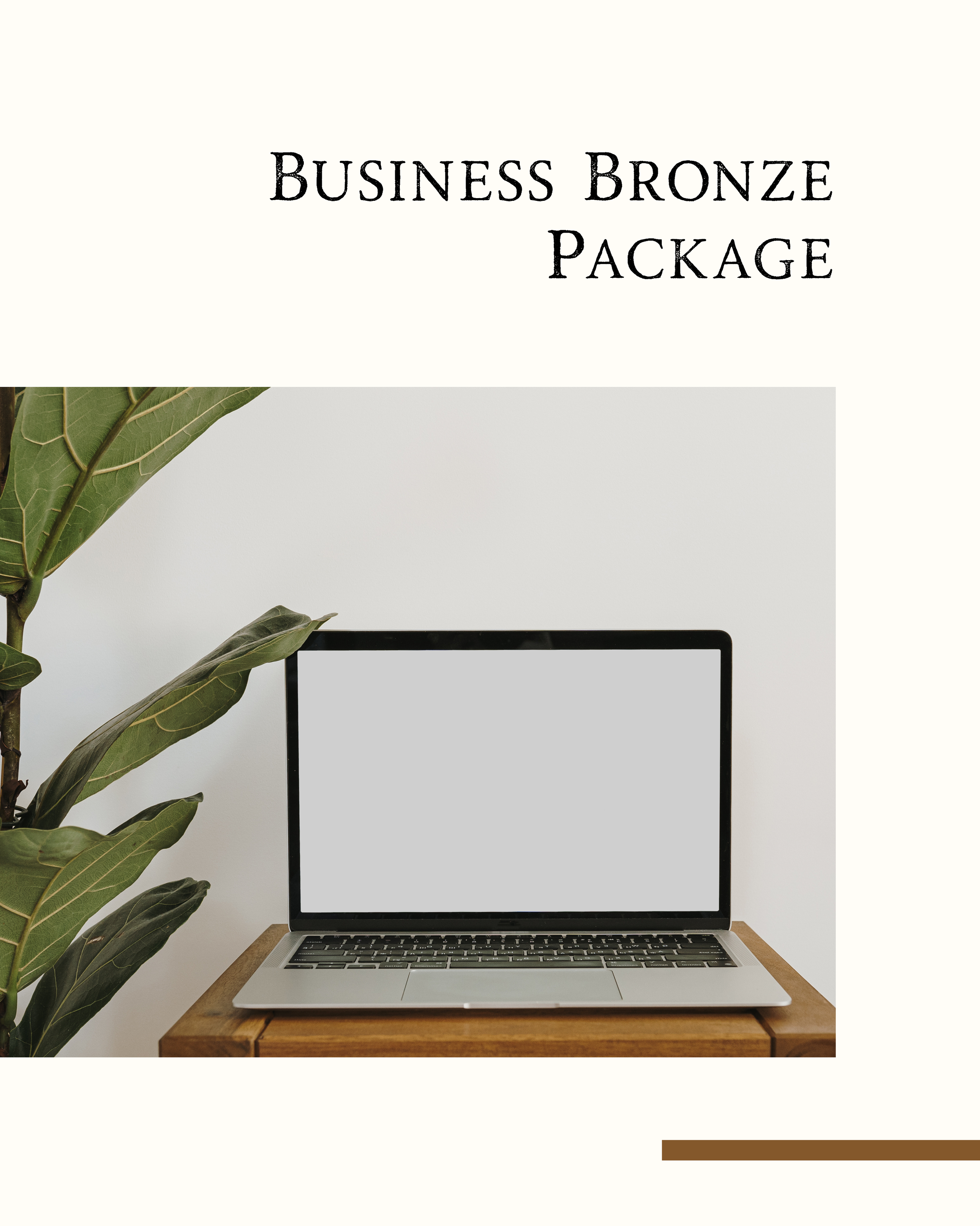 Business Bronze Package