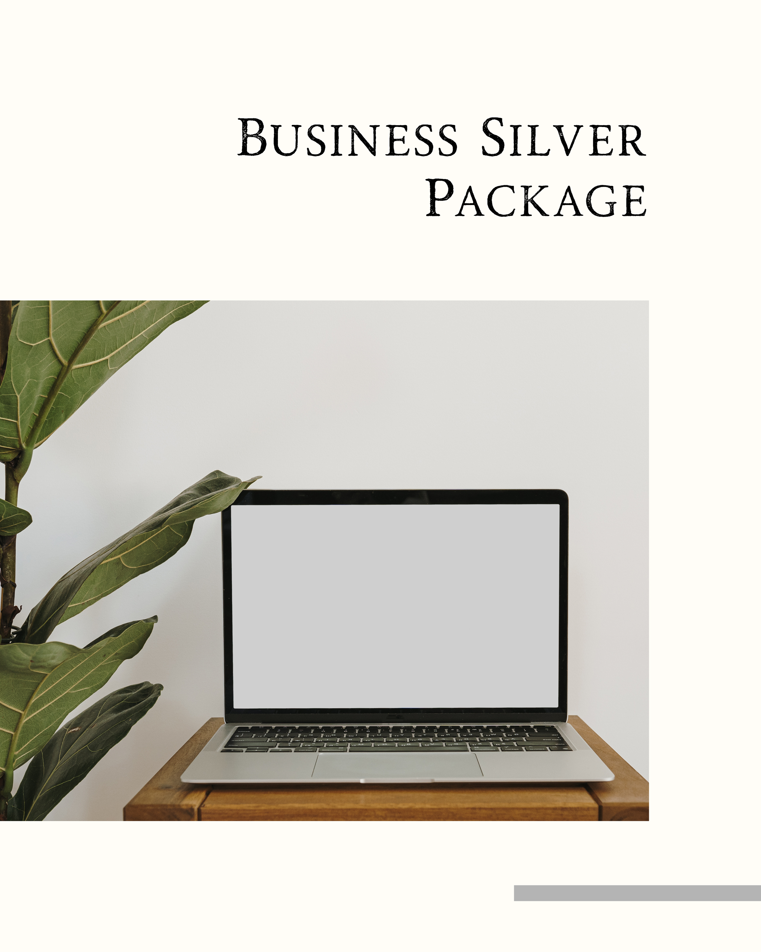Business Silver Package