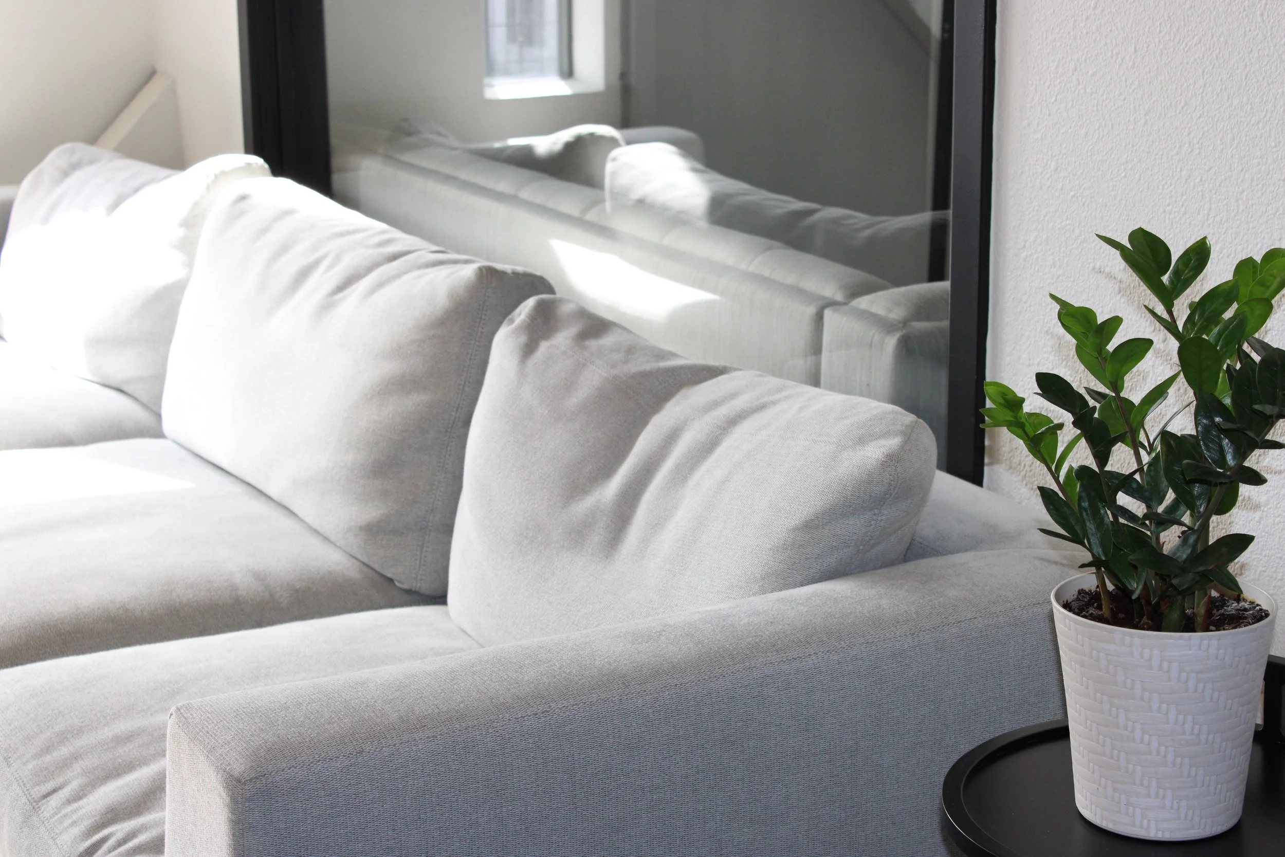 Bright modern office with a light gray sectional sofa, large wall mirror, and potted ZZ plant on a black side table