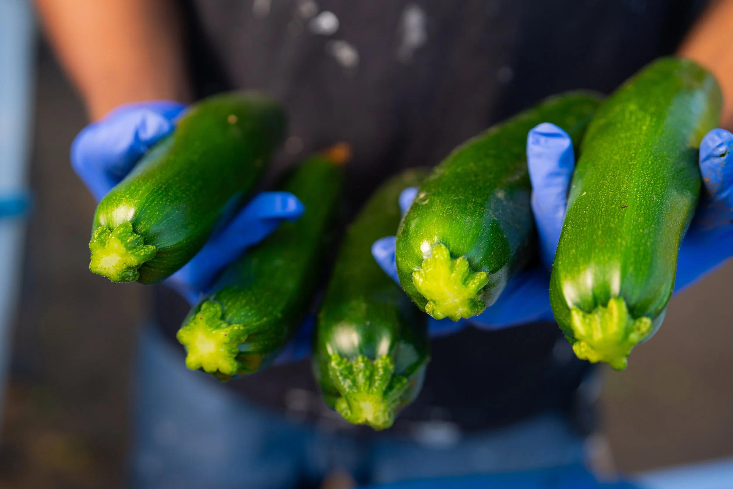 KTA_Exports-02771.jpg