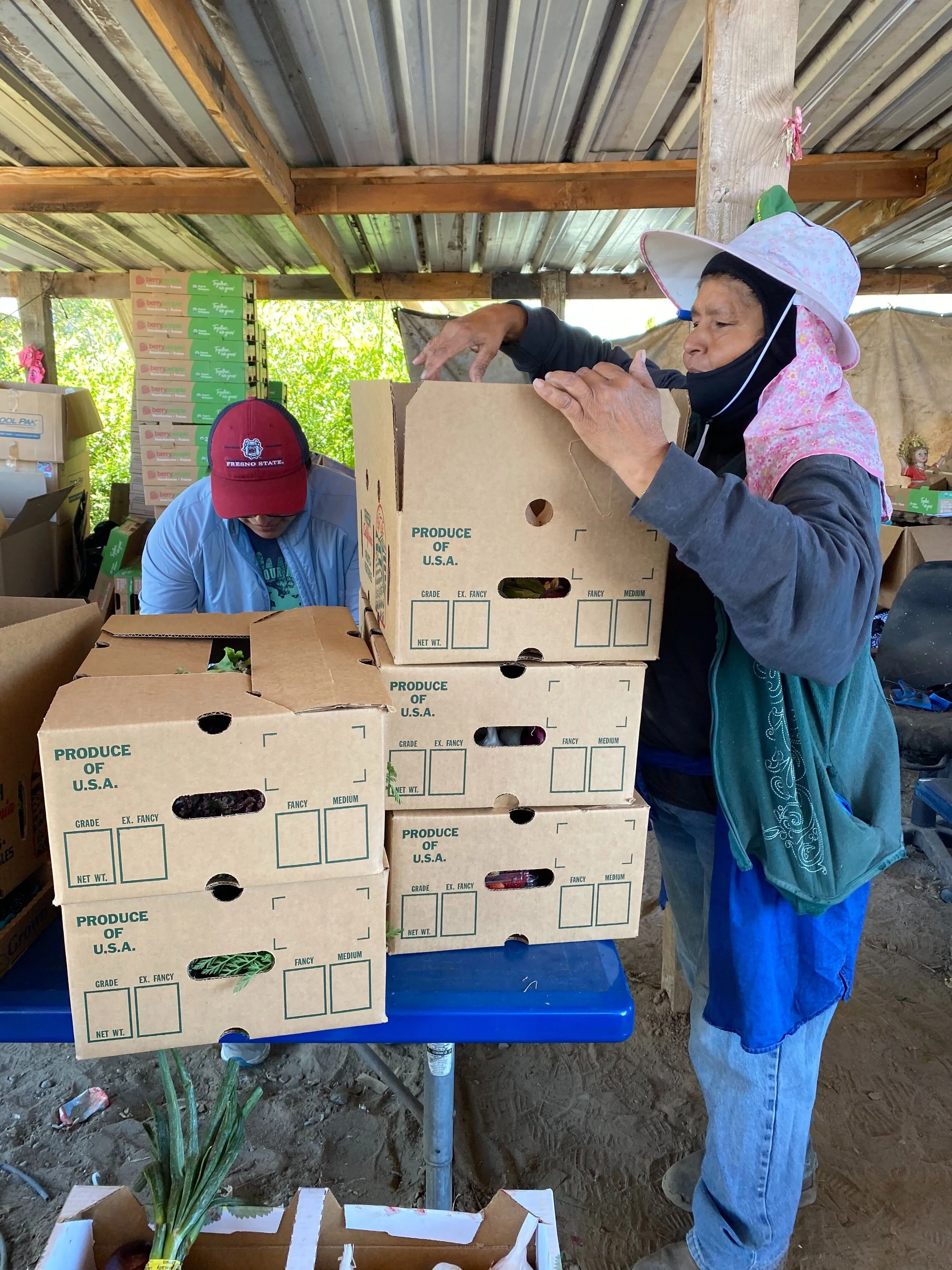 MaganaFarm(Tera box)_2020-07_PC-TaniaZuniga_3.jpg