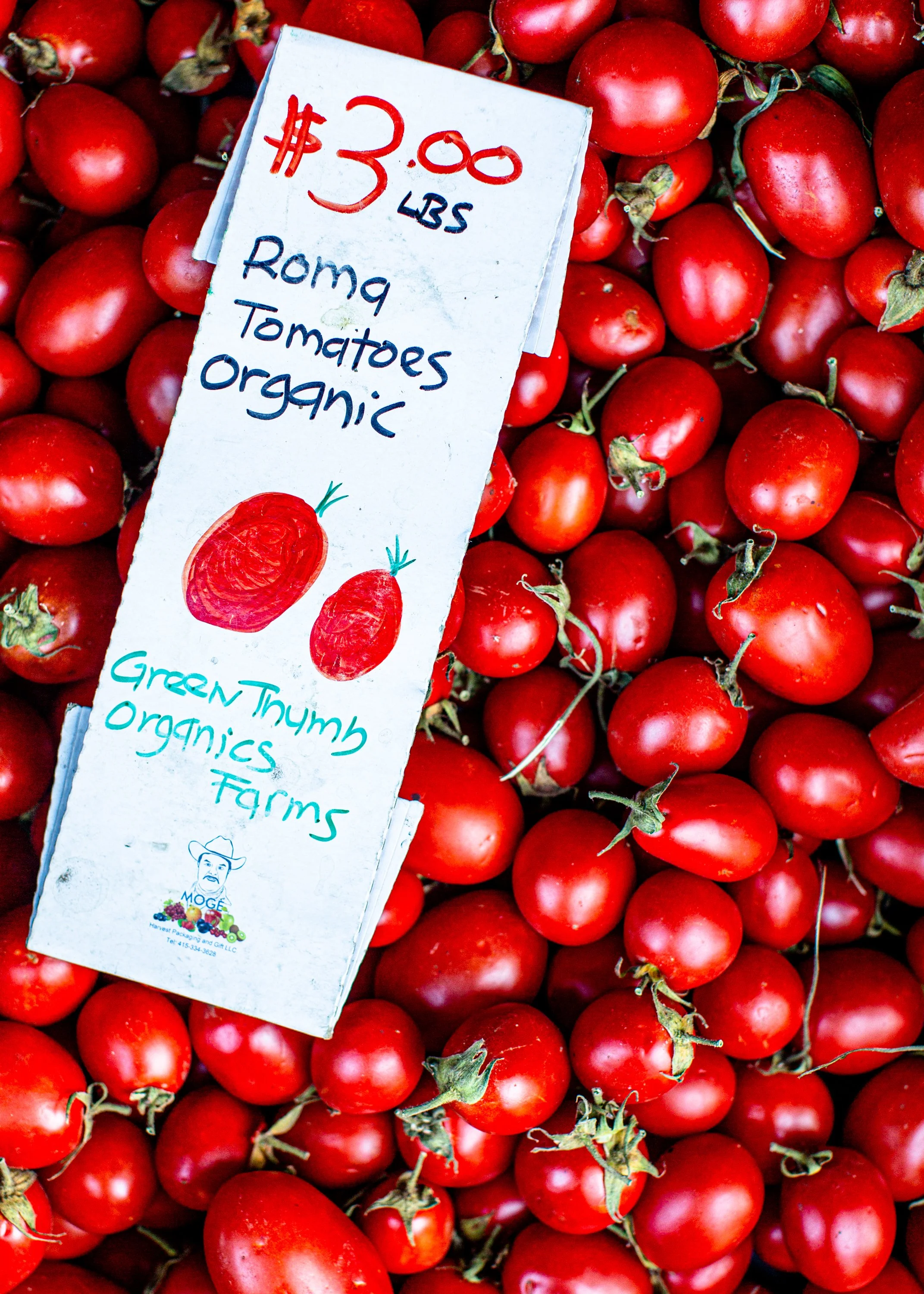 2019.09_GreenThumbOrganicsFarms_PC-NicolaParisi_2.jpg