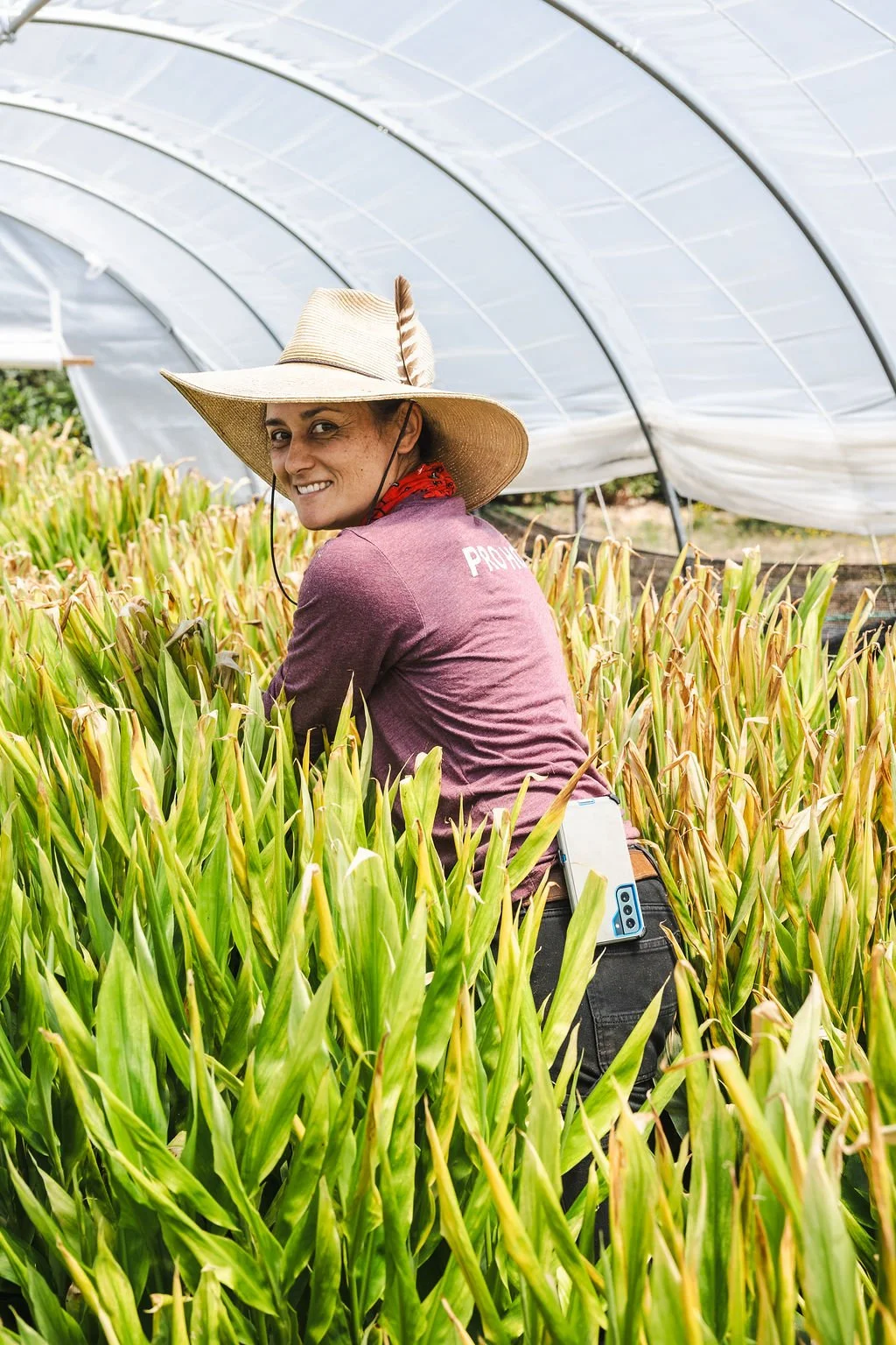 Yagi Sisters Farm