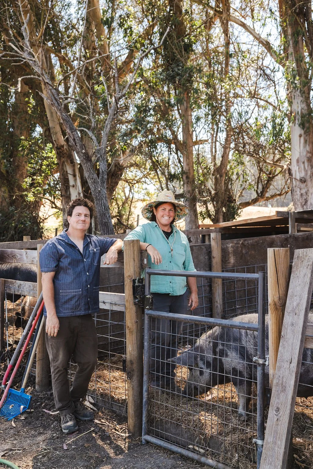 Fox Sparrow Farm