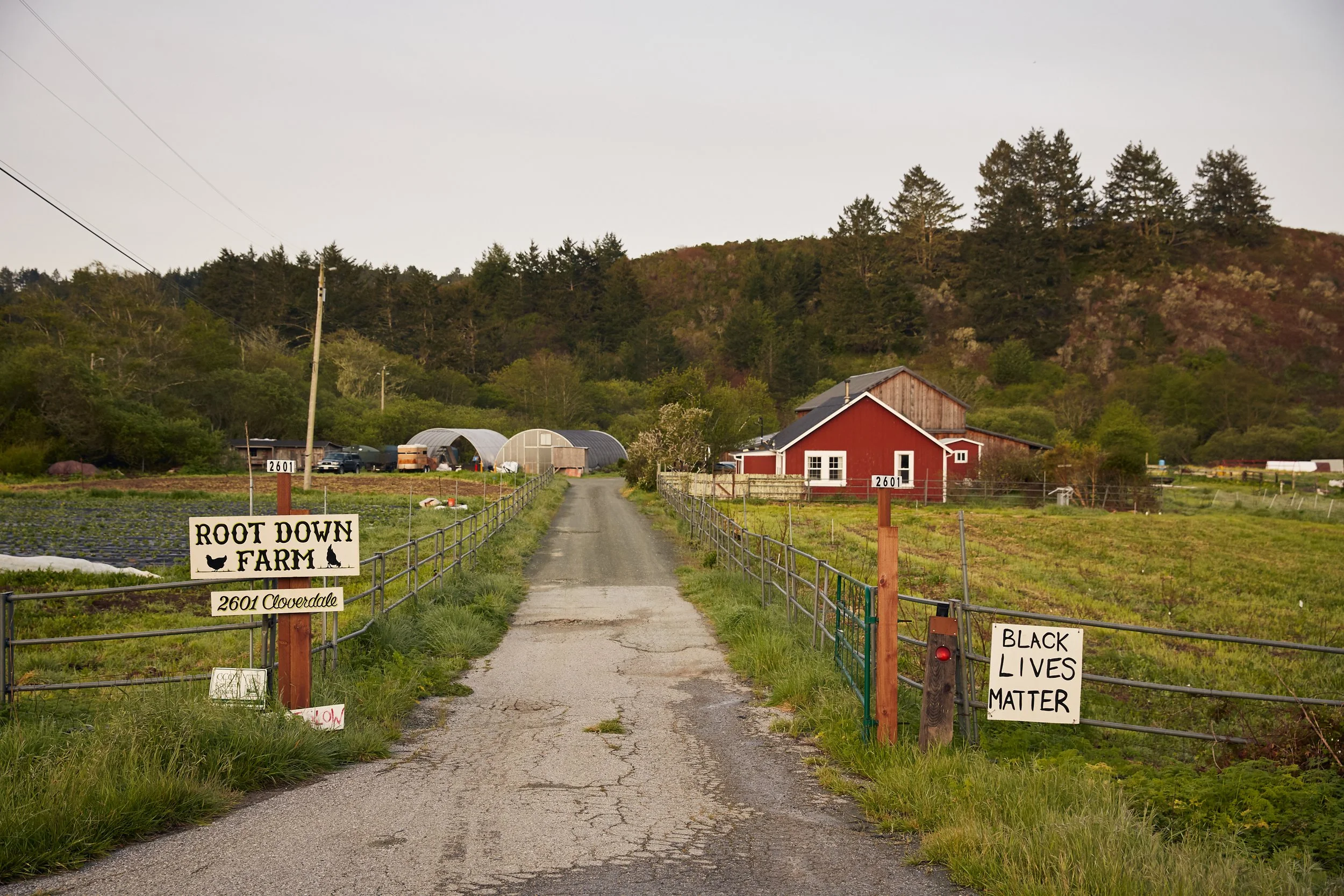 2018.04_RootDownFarm_PC-JaysonCarpenter_62.jpg