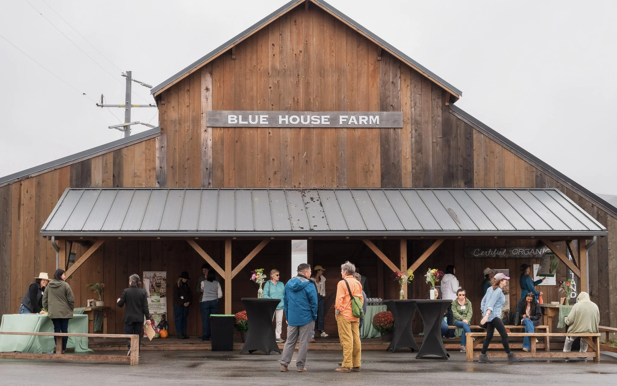 Blue House Farm