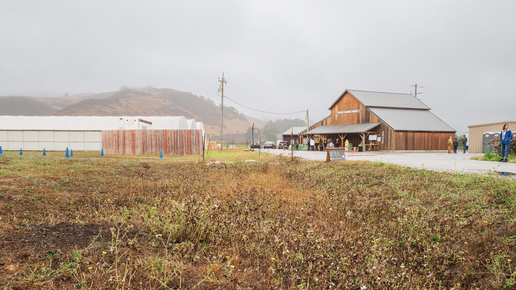 11-KTA_blue_farm-11.jpg