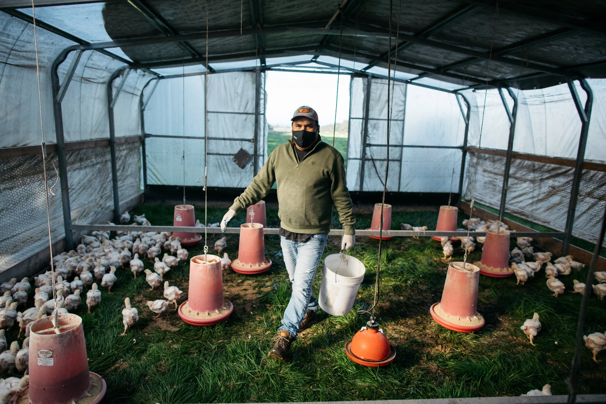 FOGLINE-FARM_21.jpg