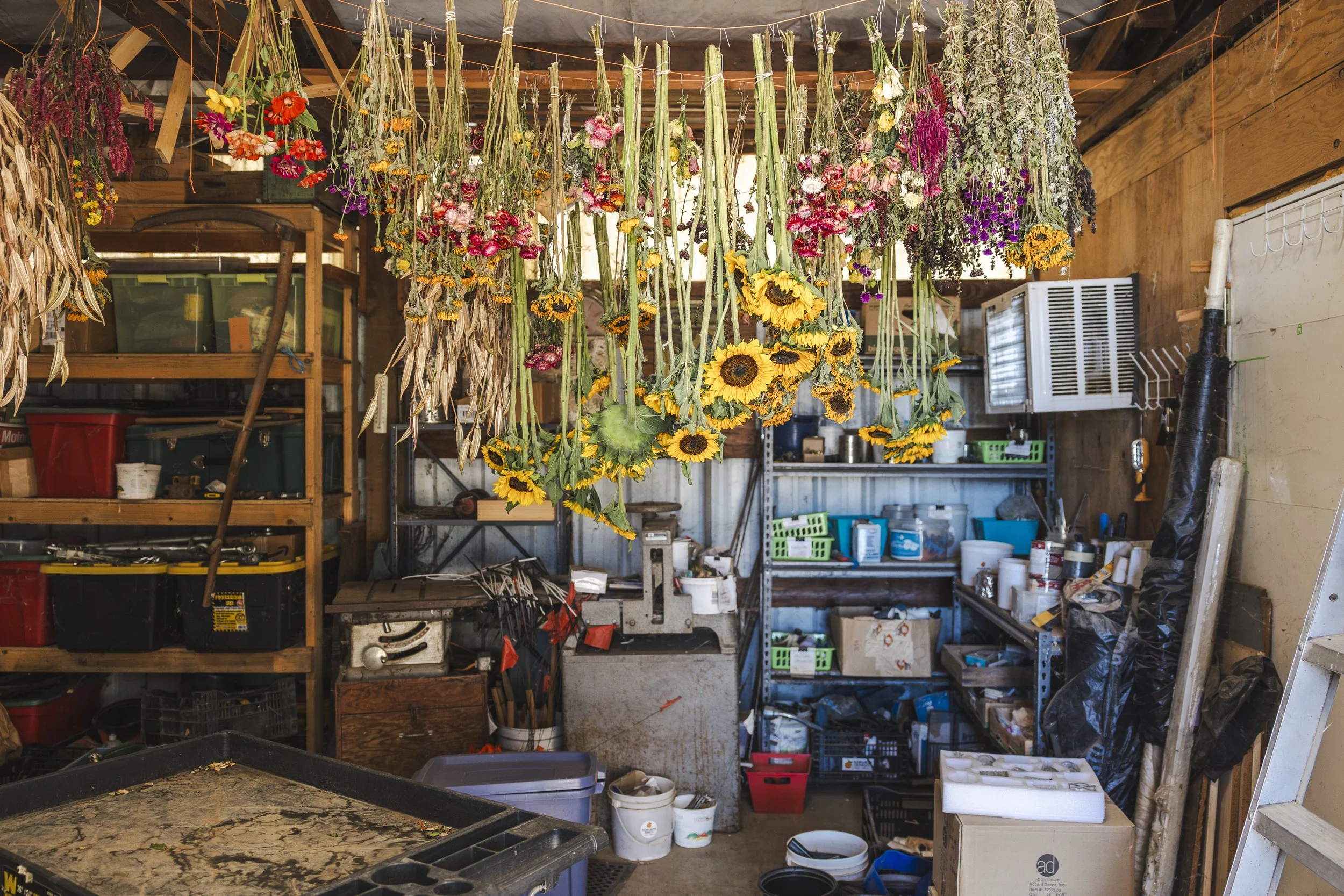 KJoyPhoto_KTA-RainwaterRanch_47976-Enhanced-NR.jpg