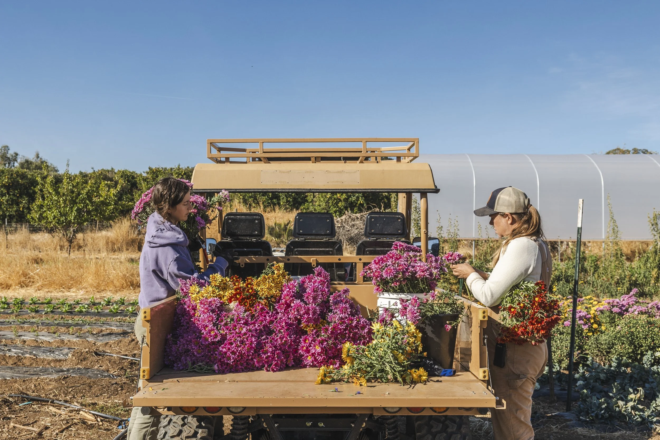 KJoyPhoto_KTA-RainwaterRanch_47606 (1).jpg