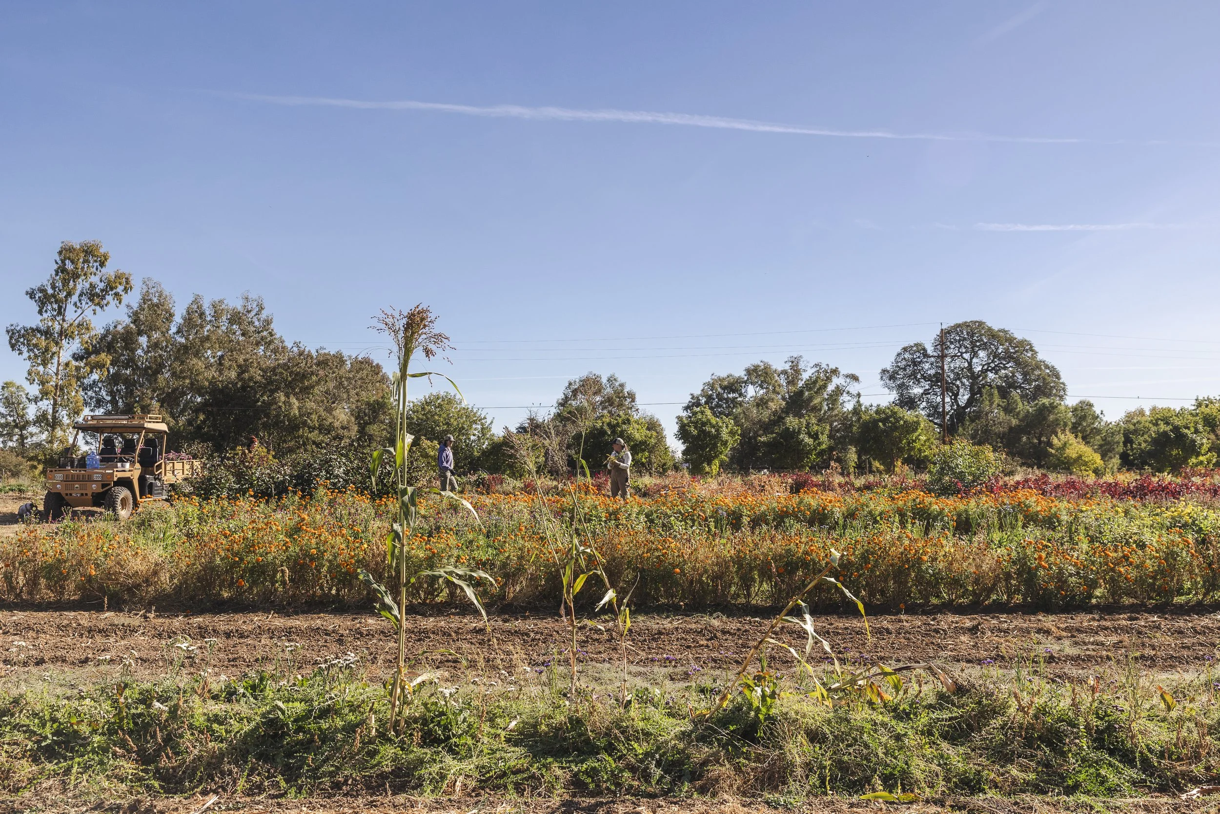KJoyPhoto_KTA-RainwaterRanch_47749.jpg
