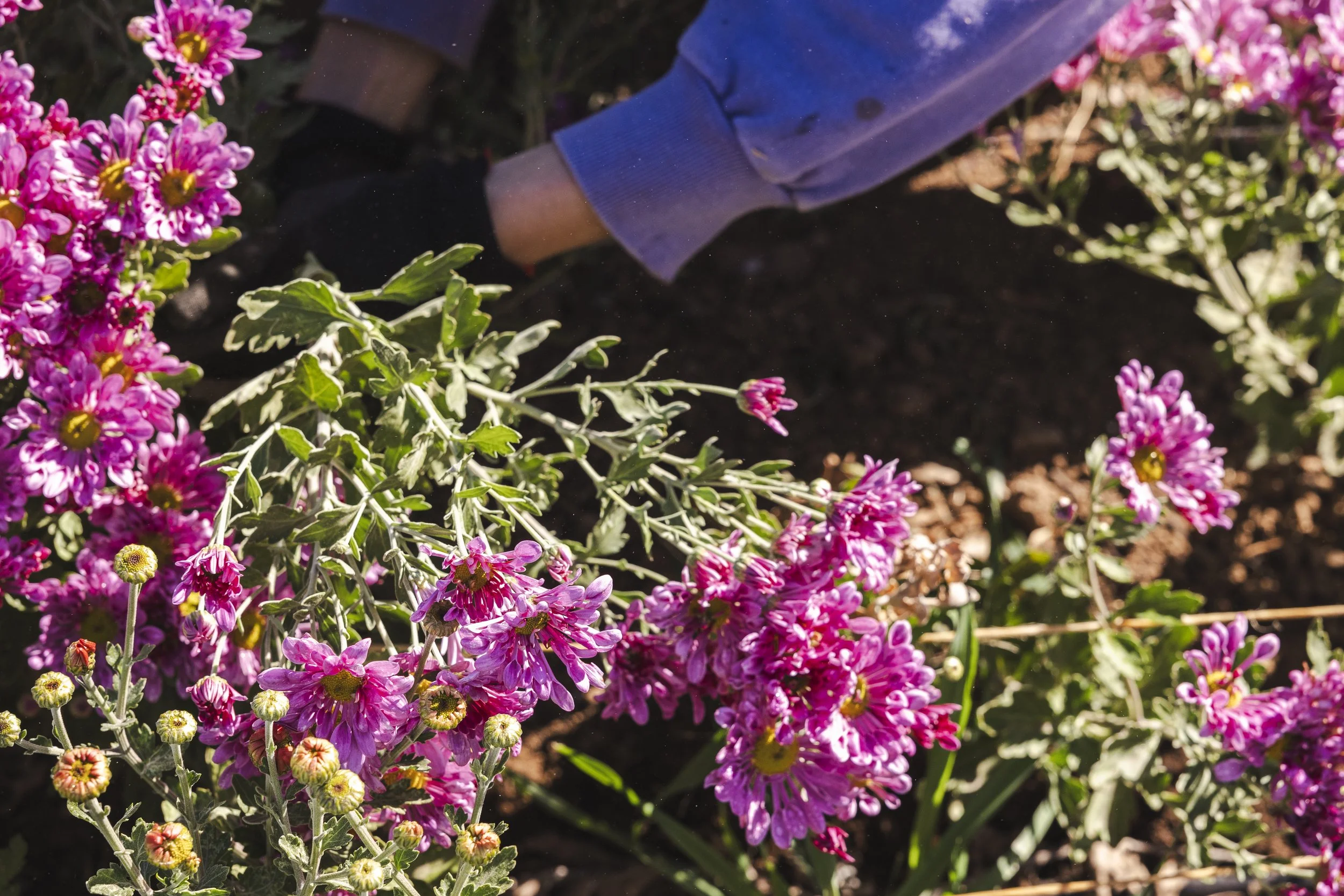 KJoyPhoto_KTA-RainwaterRanch_47361.jpg