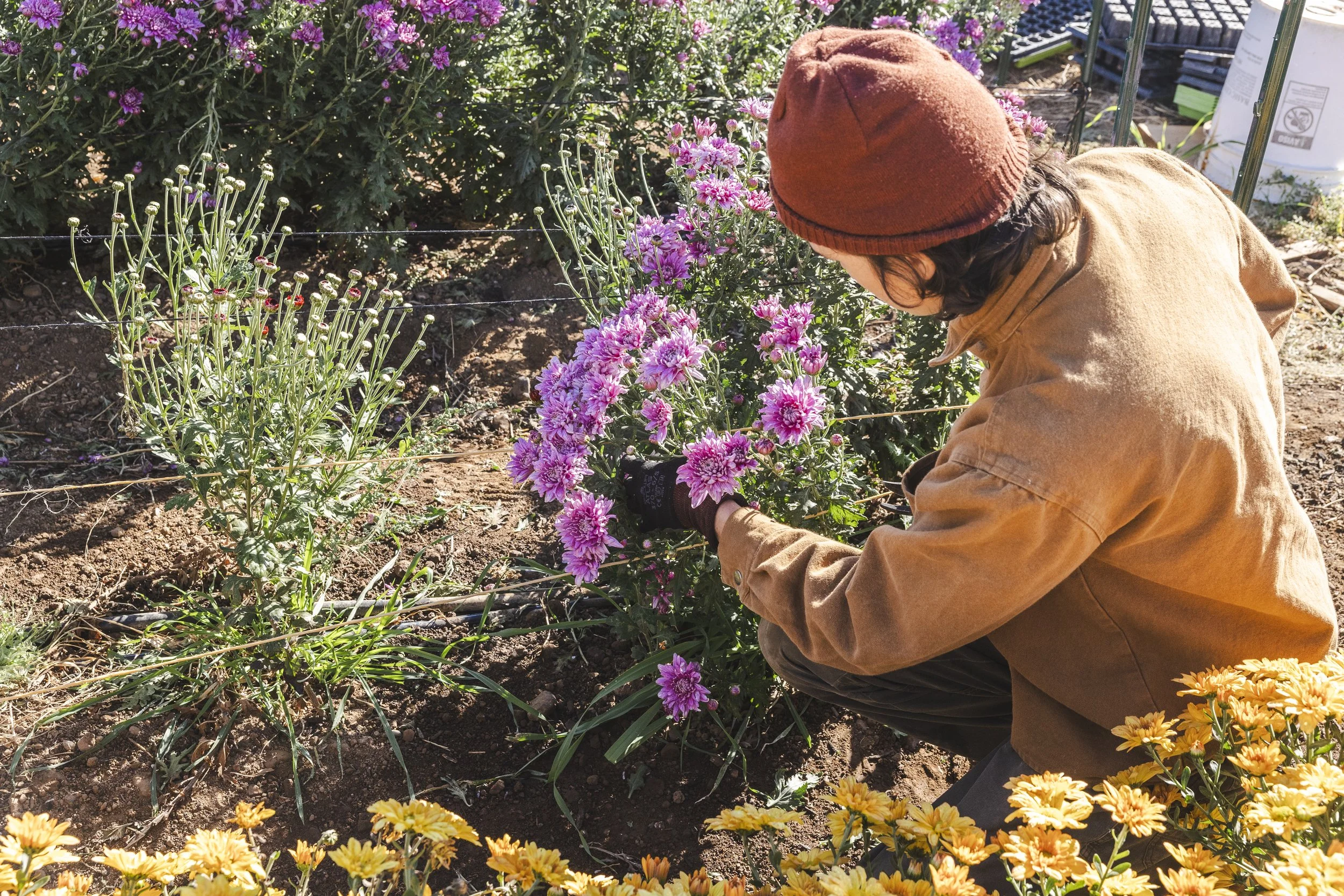 KJoyPhoto_KTA-RainwaterRanch_47336.jpg